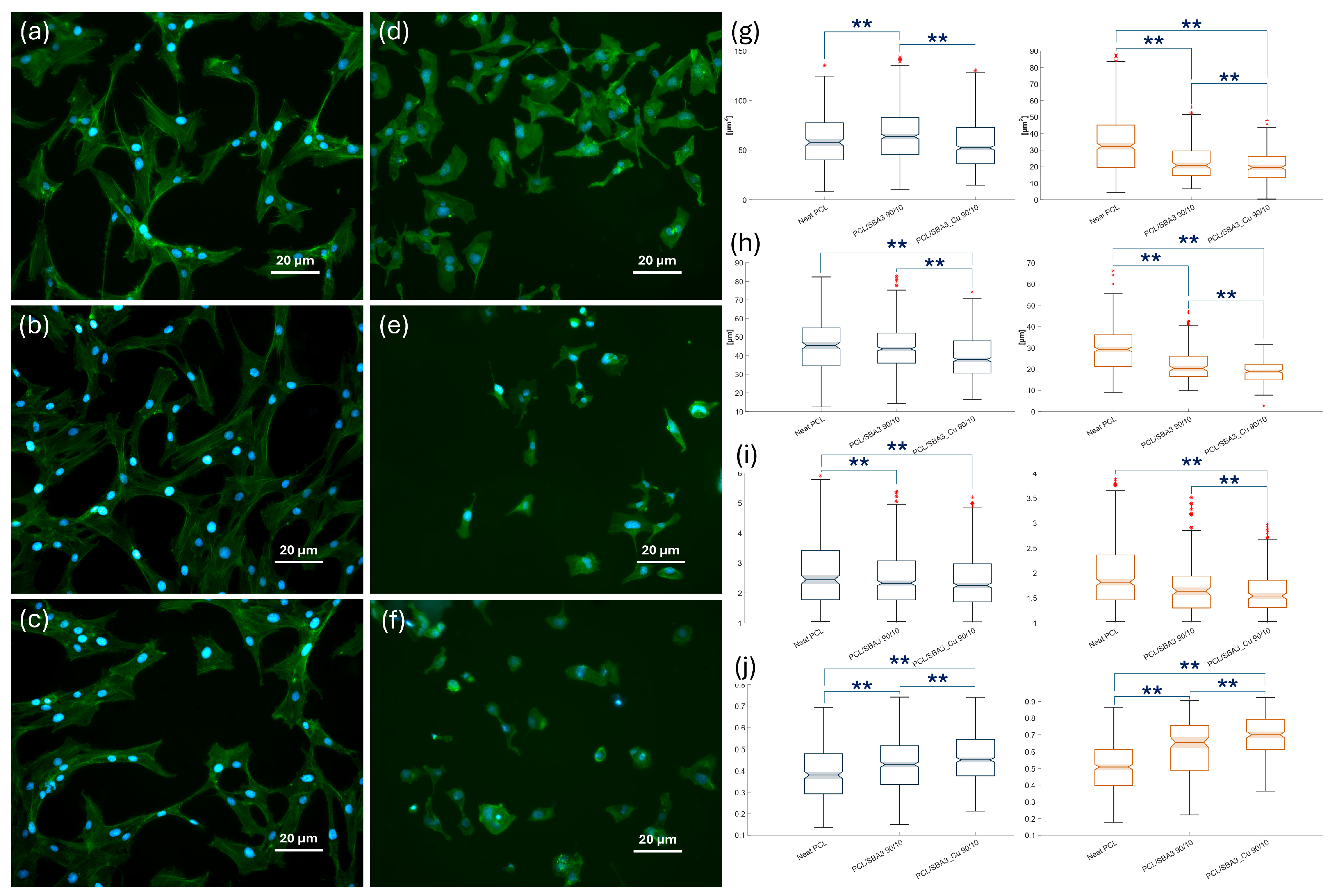 Polymers 17 02229 g006 Polymers 17 02229 g006