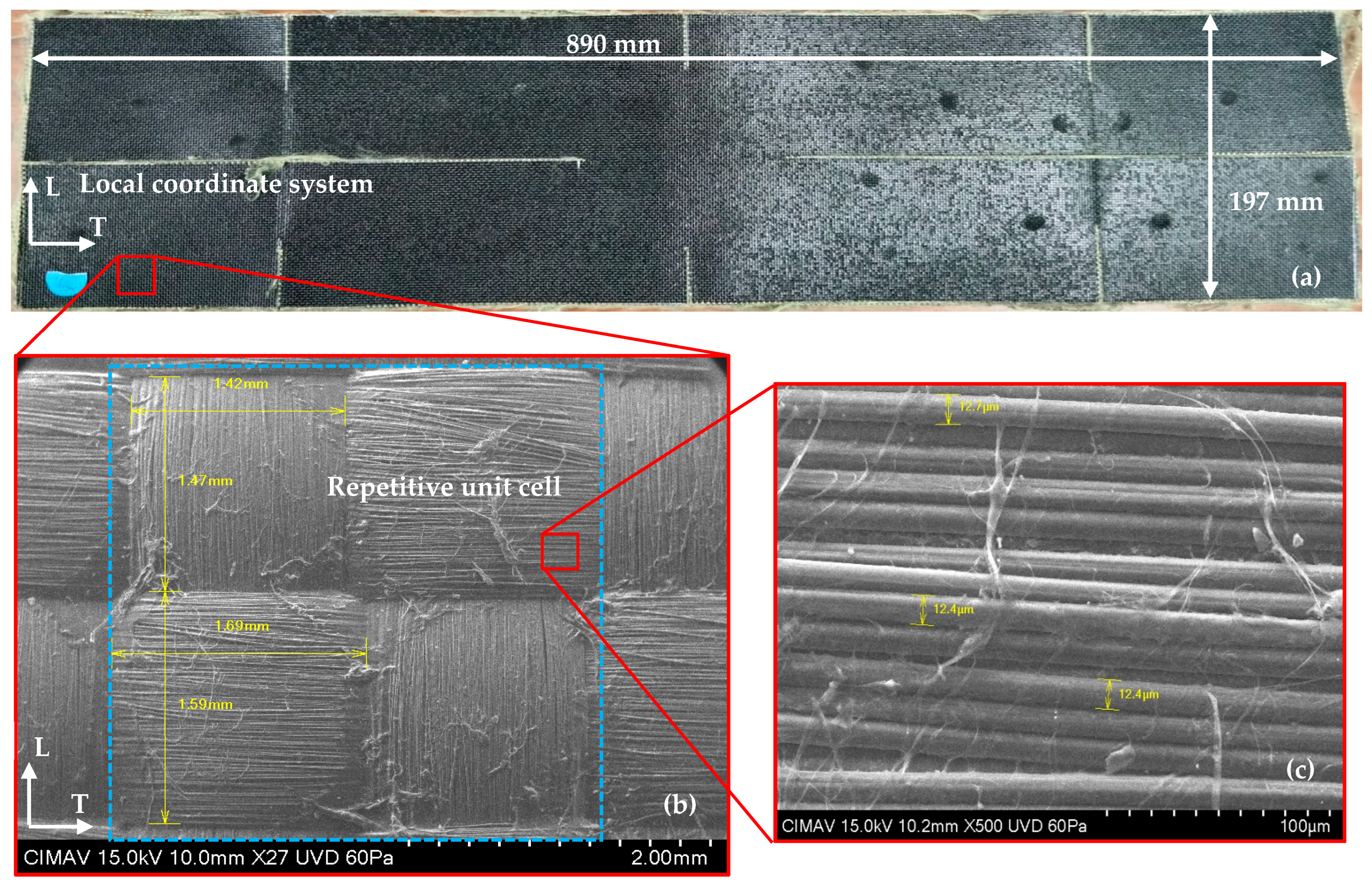 Polymers 17 02235 g001
