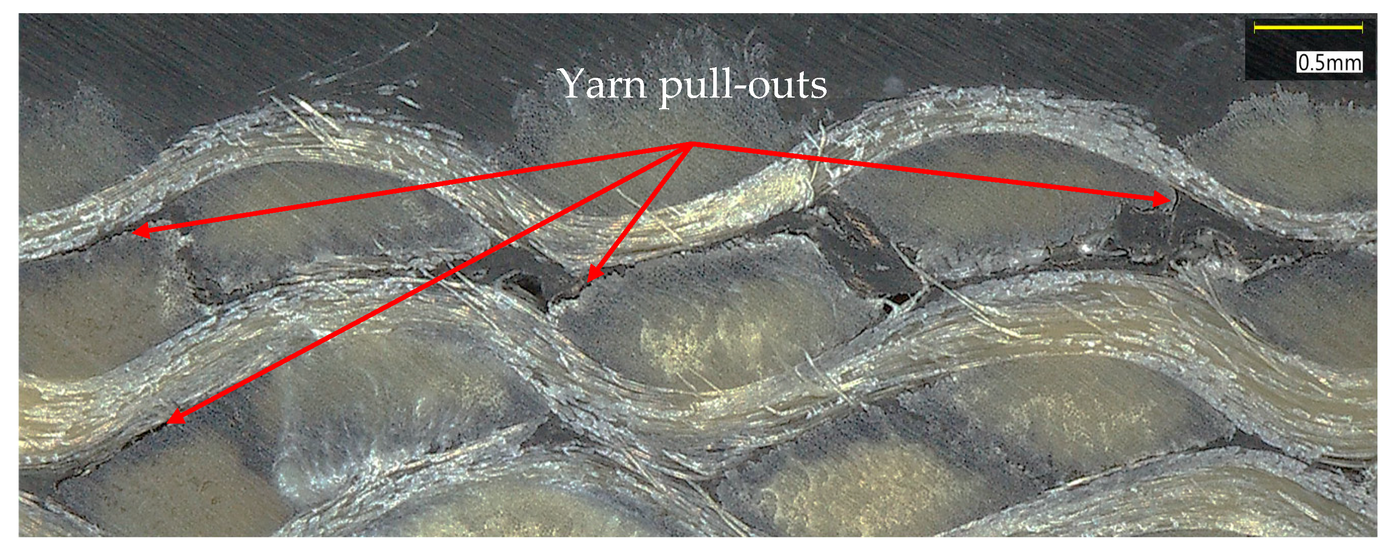 Polymers 17 02235 g008