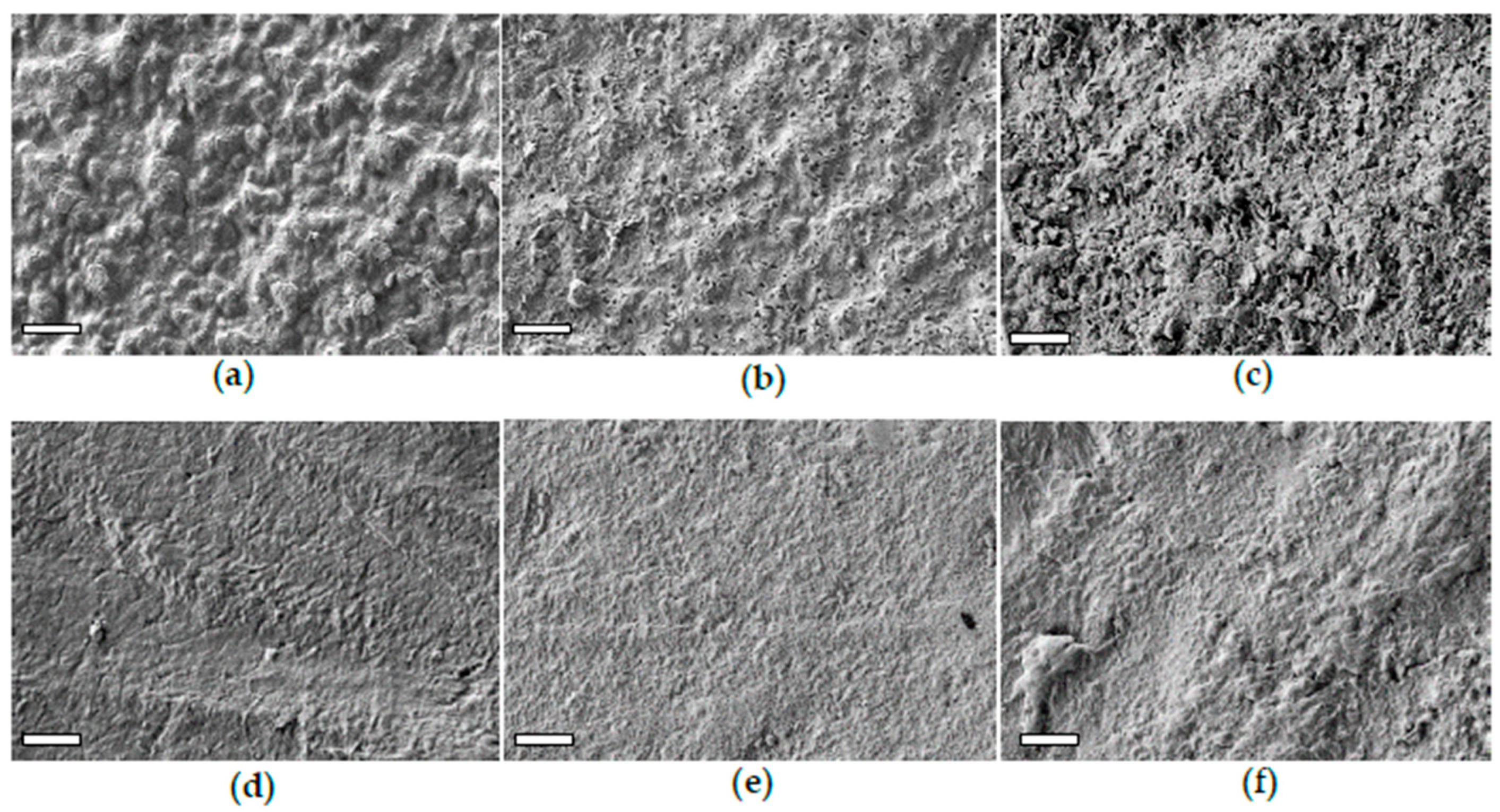 Polymers 17 02236 g006