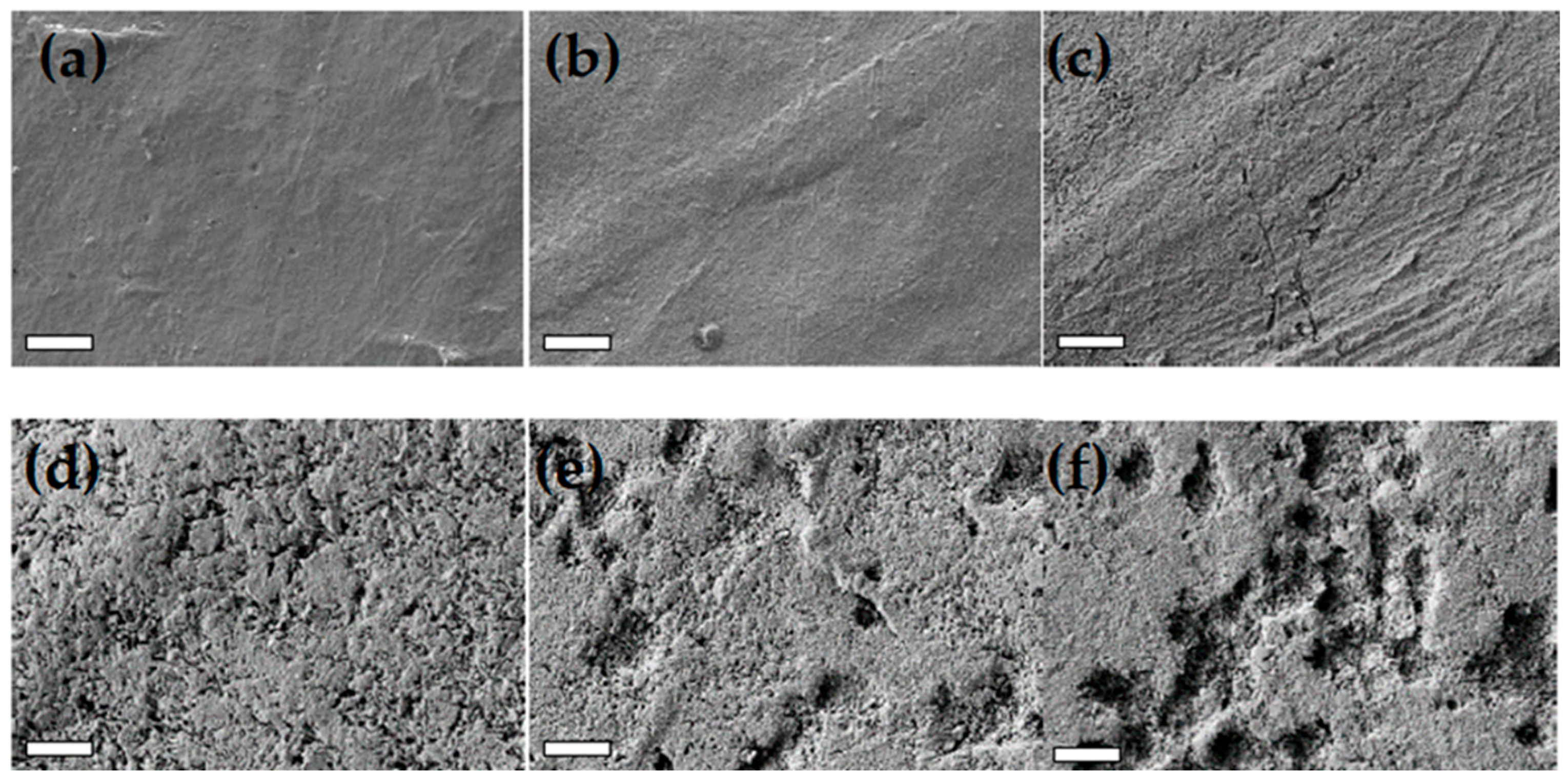 Polymers 17 02236 g010