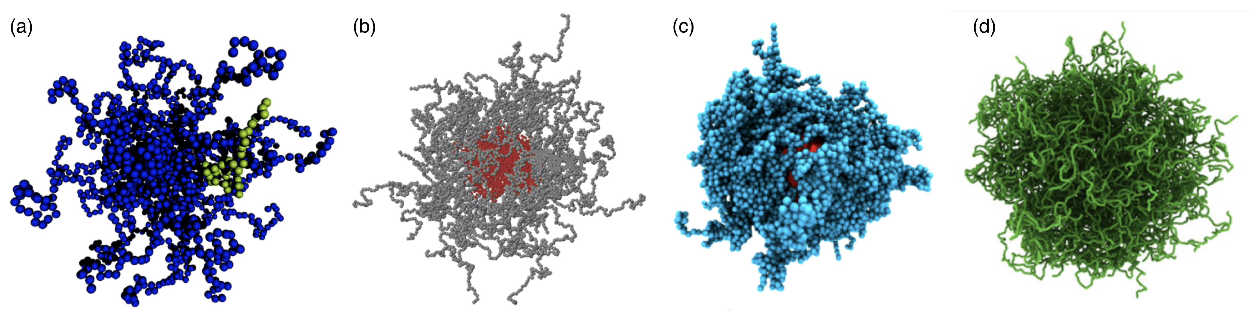 谷口 Polymeric and Polymer-Functionalized Drug Delivery Vectors