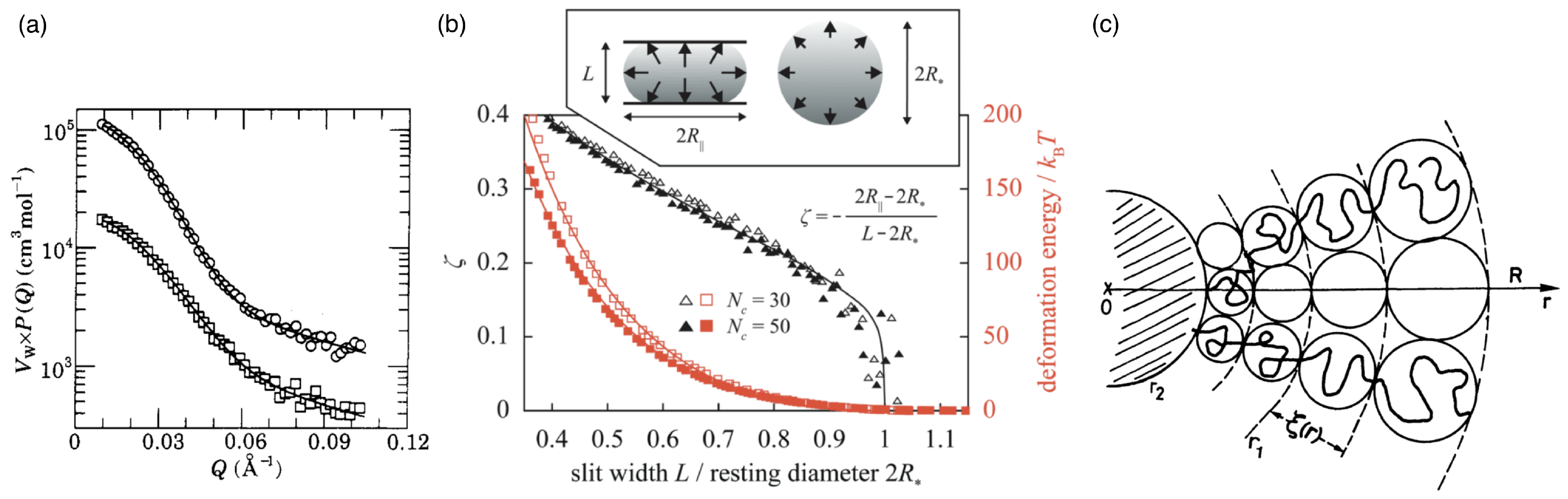 Polymers 17 02243 g003 Polymers 17 02243 g003