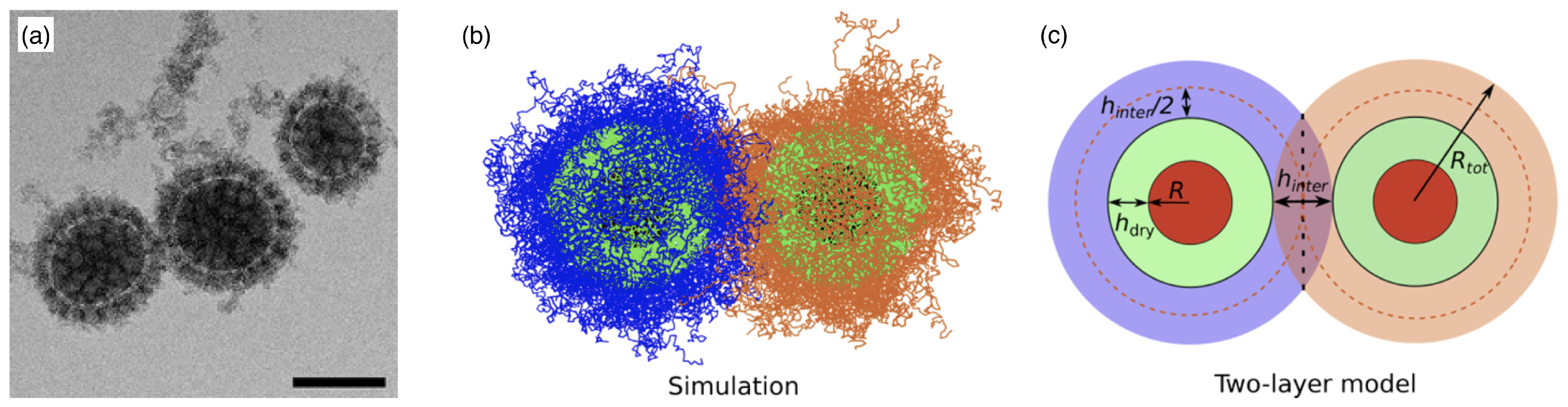Polymers 17 02243 g004 Polymers 17 02243 g004