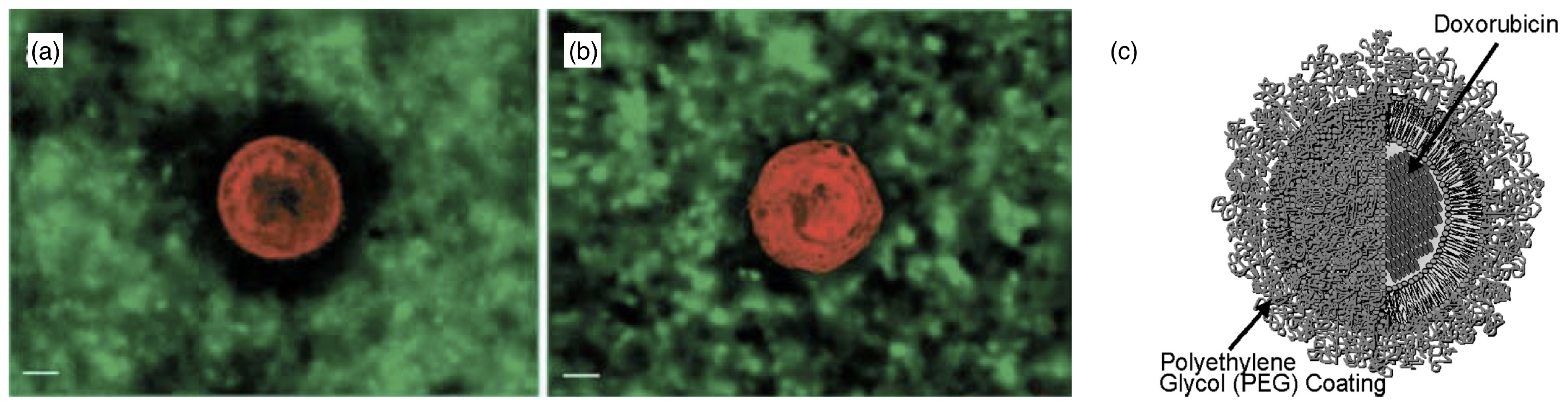 Polymers 17 02243 g005 Polymers 17 02243 g005