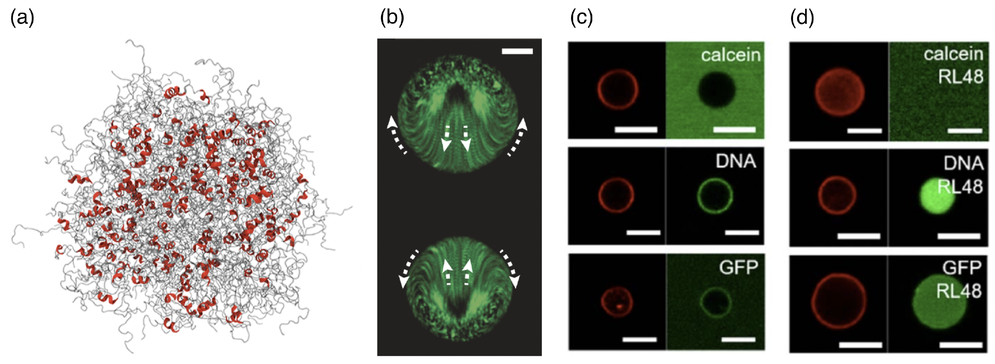 Polymers 17 02243 g010 Polymers 17 02243 g010