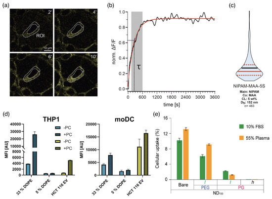 Polymeric and Polymer-Functionalized Drug Delivery Vectors