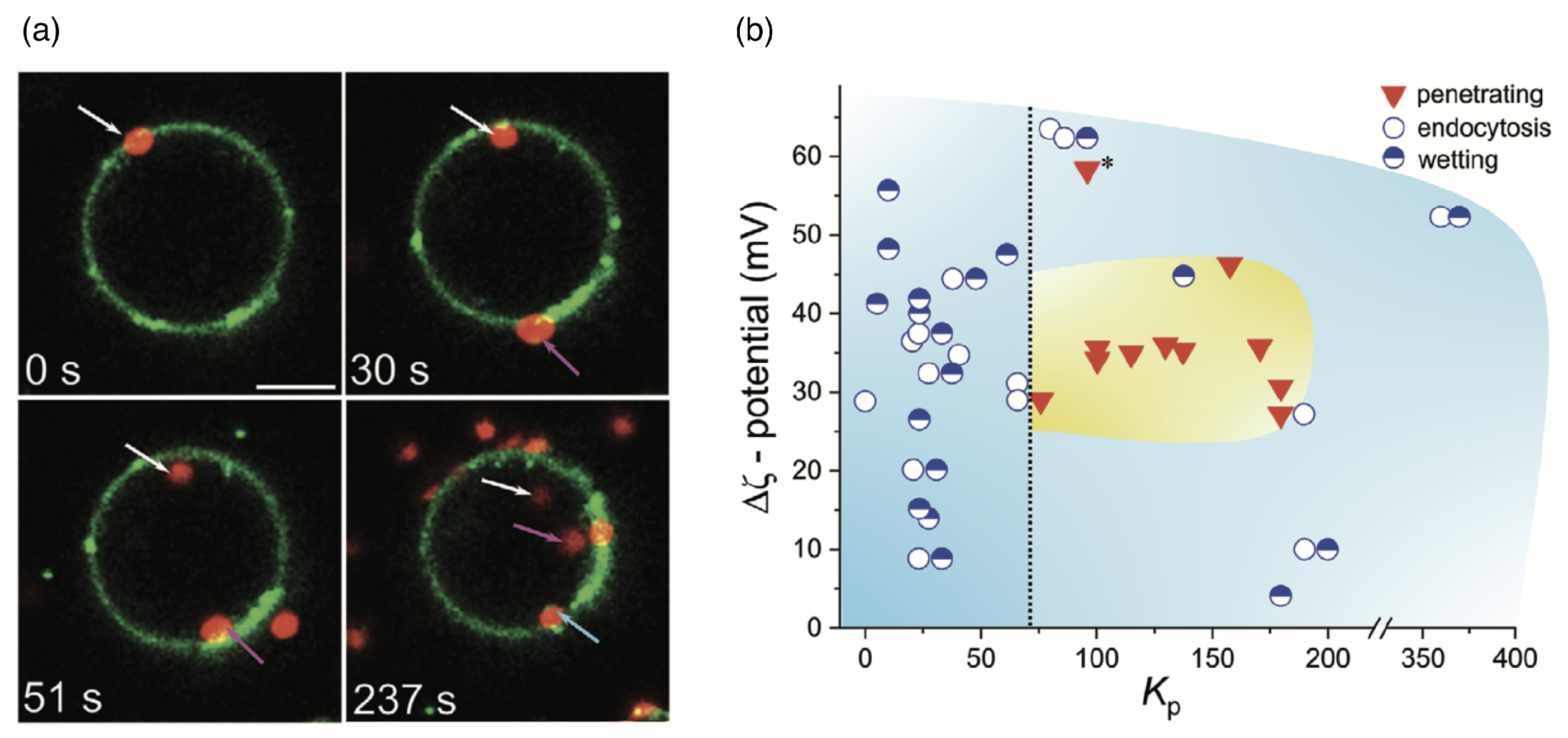 Polymers 17 02243 g015 Polymers 17 02243 g015