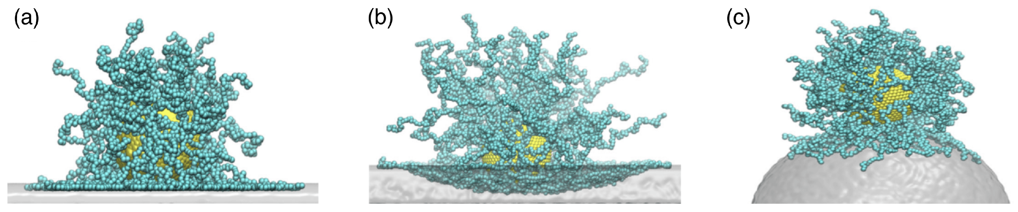 Polymers 17 02243 g017 Polymers 17 02243 g017
