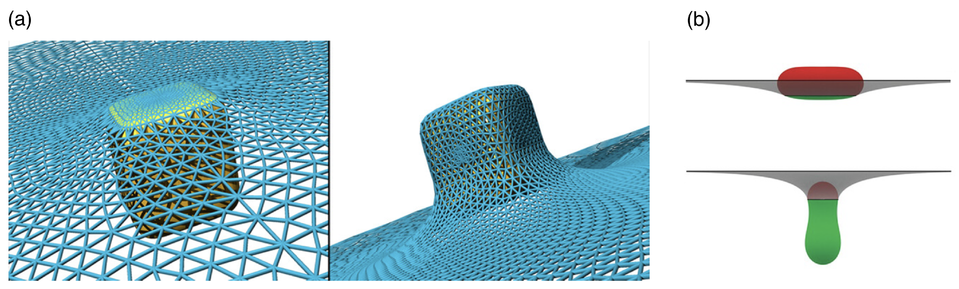 Polymers 17 02243 g018 Polymers 17 02243 g018