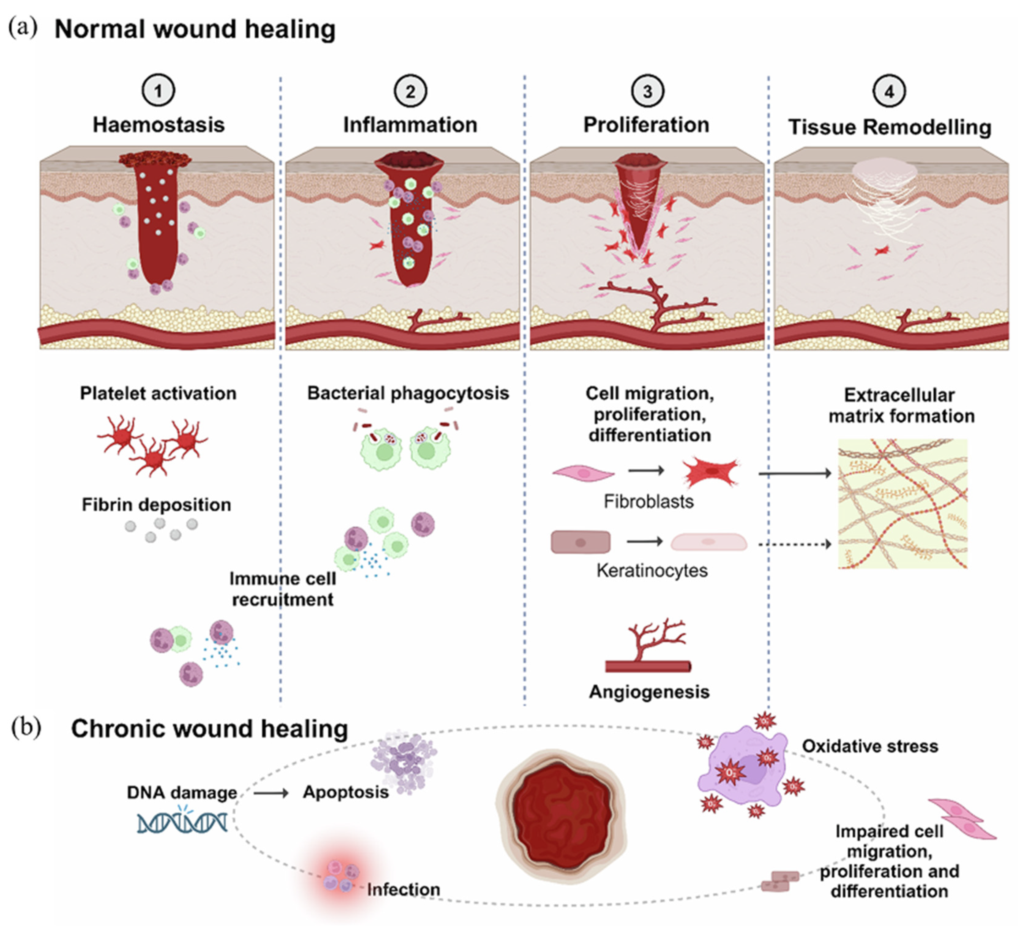 Polymers 17 02244 g001 Polymers 17 02244 g001