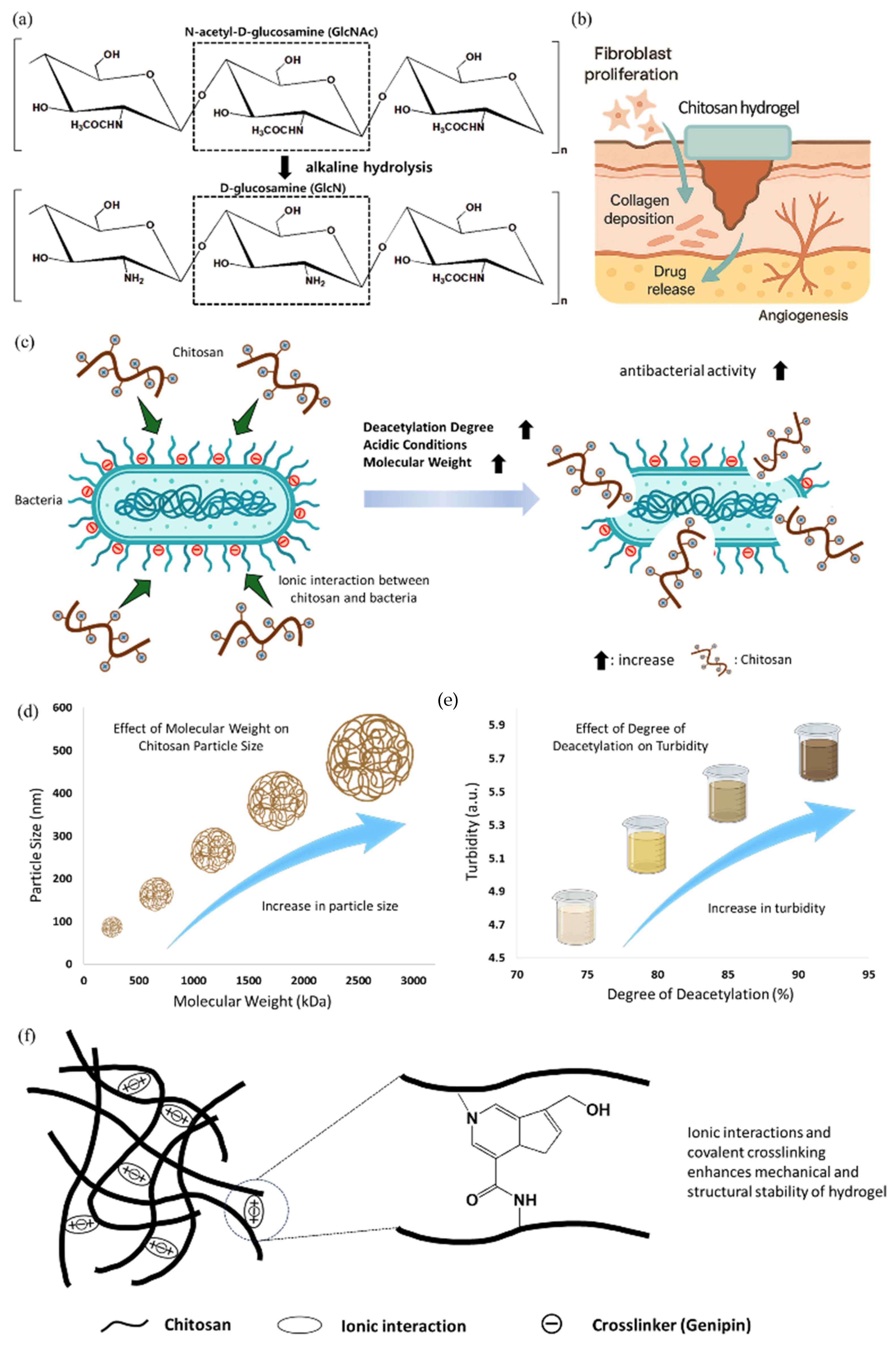Polymers 17 02244 g004 Polymers 17 02244 g004