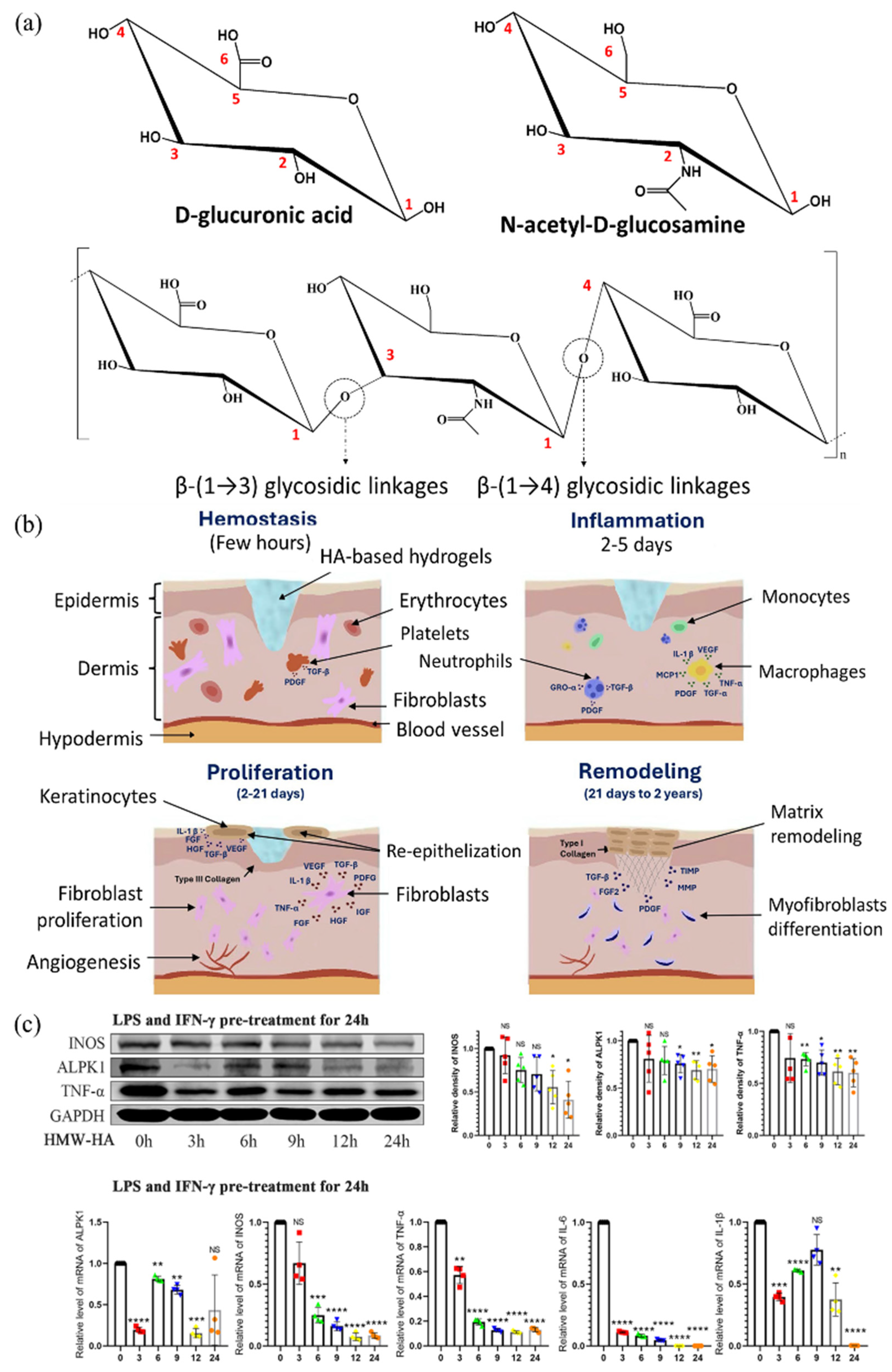 Polymers 17 02244 g005 Polymers 17 02244 g005