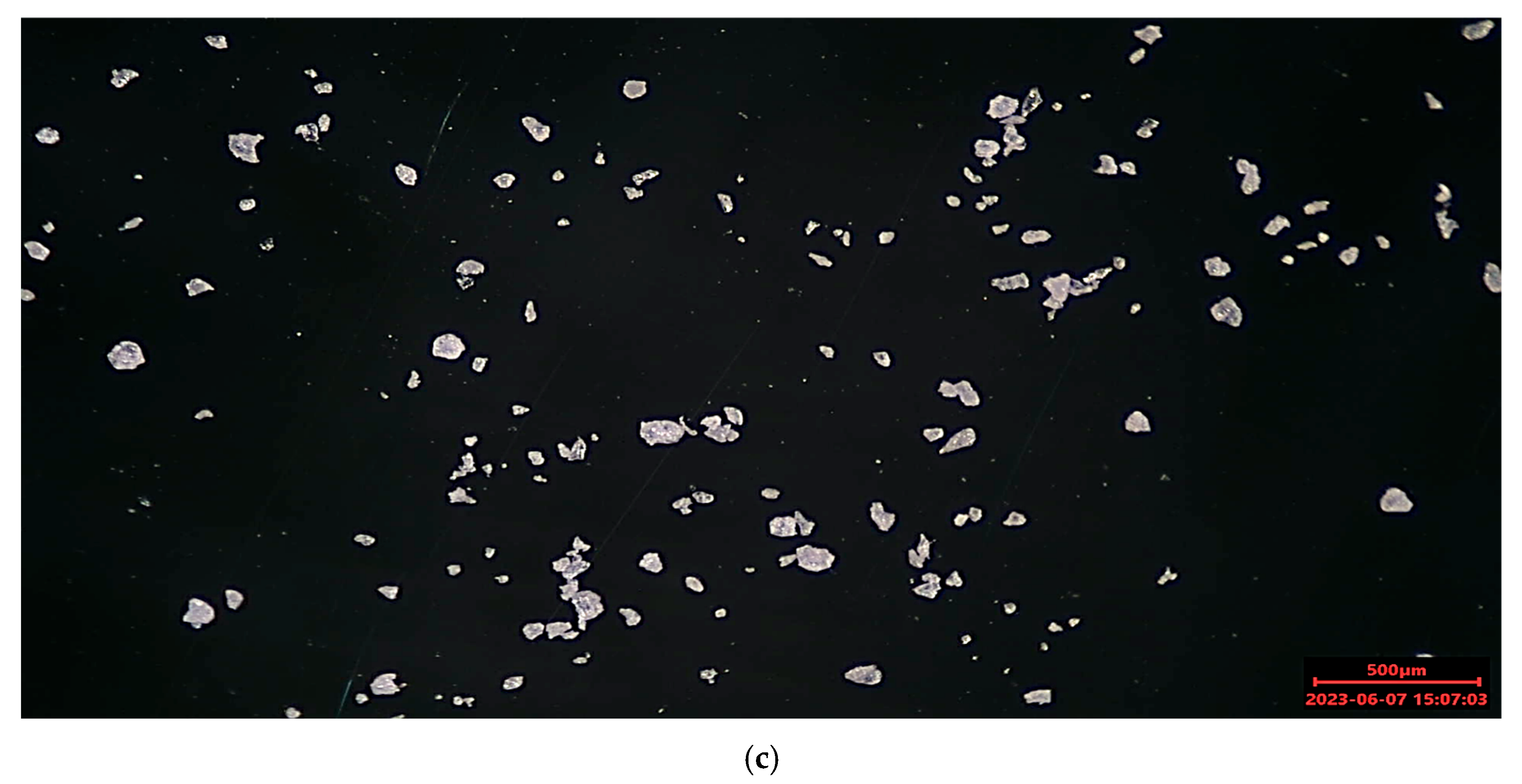 Polymers 17 02248 g004b