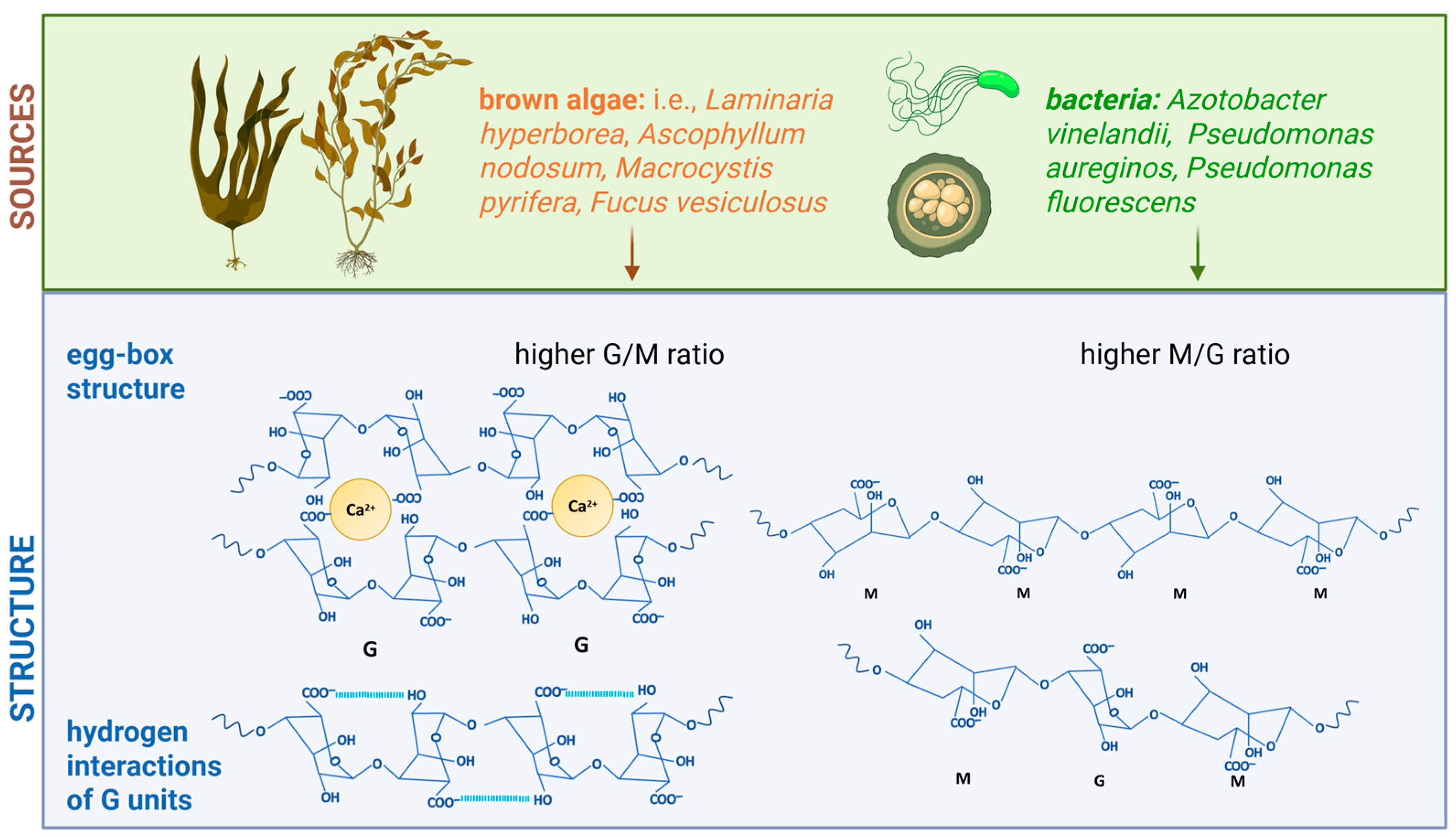 Polymers 17 02255 g004 Polymers 17 02255 g004