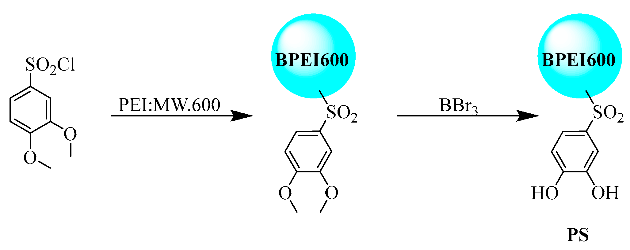 Polymers 17 02256 g001