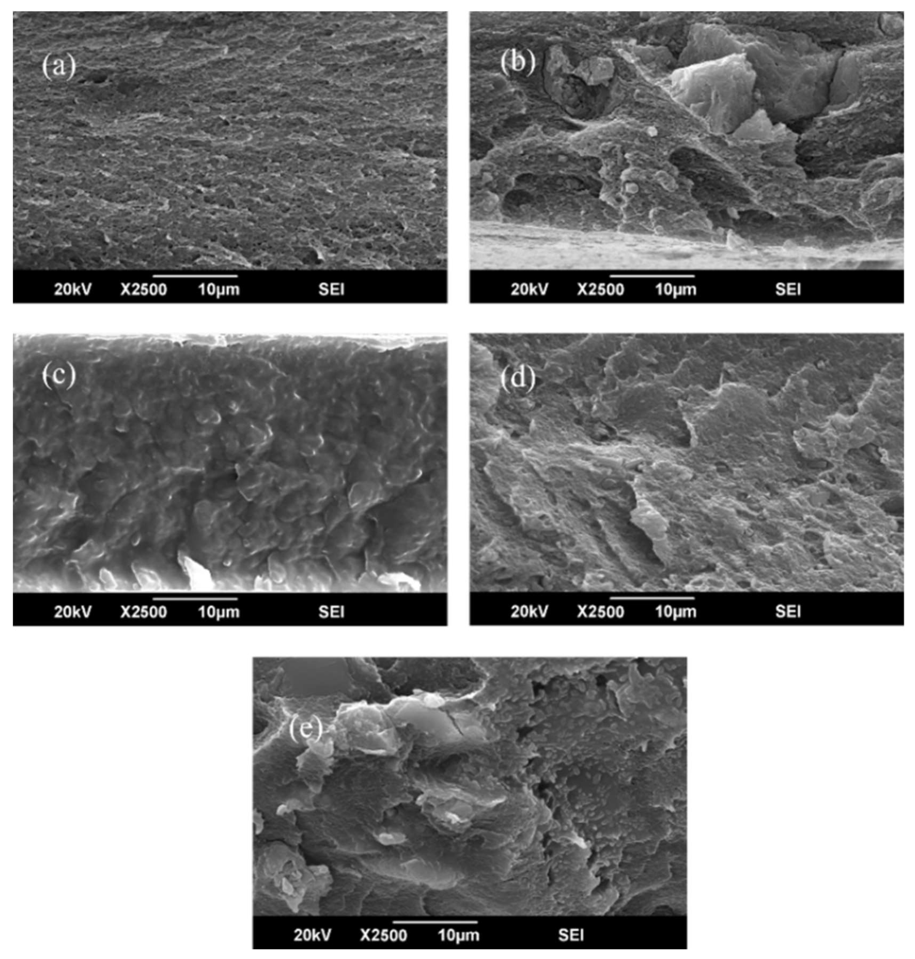 Polymers 17 02258 g007