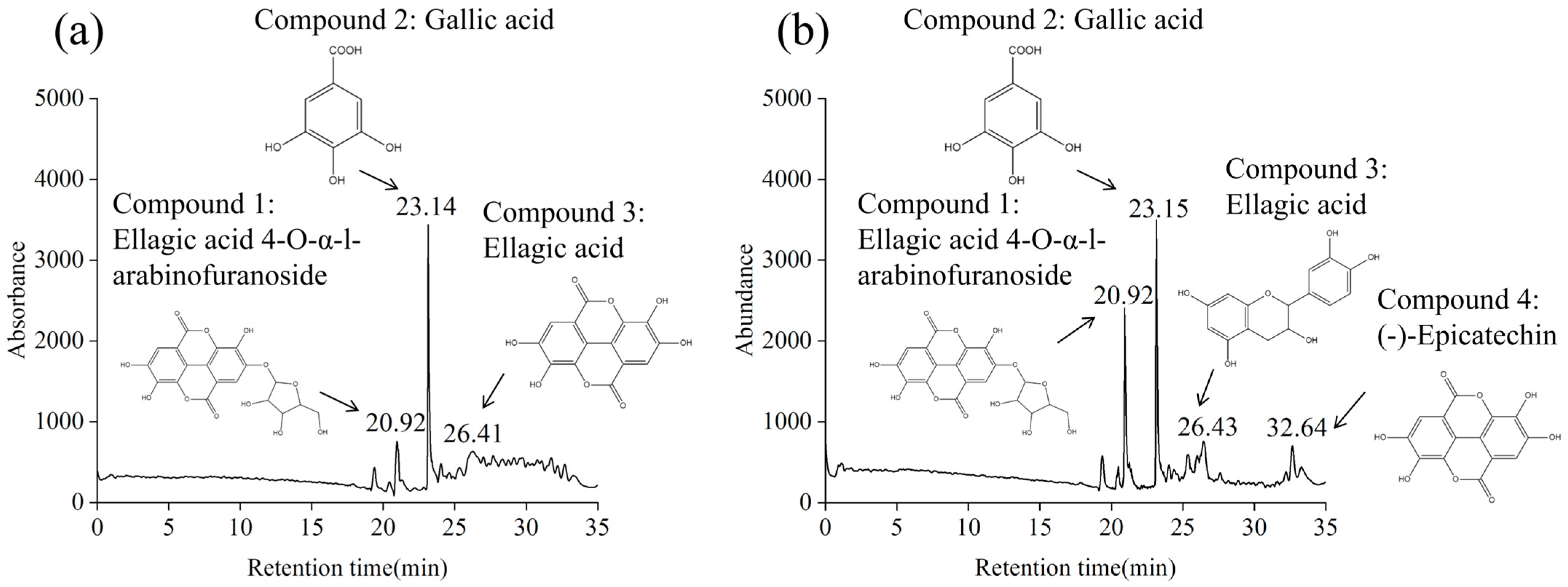 Polymers 17 02259 g004 Polymers 17 02259 g004