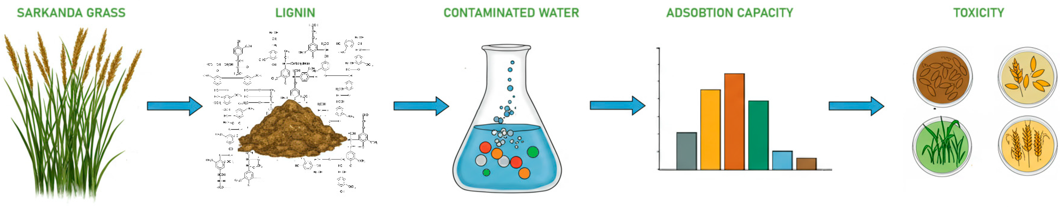 Polymers 17 02263 g001