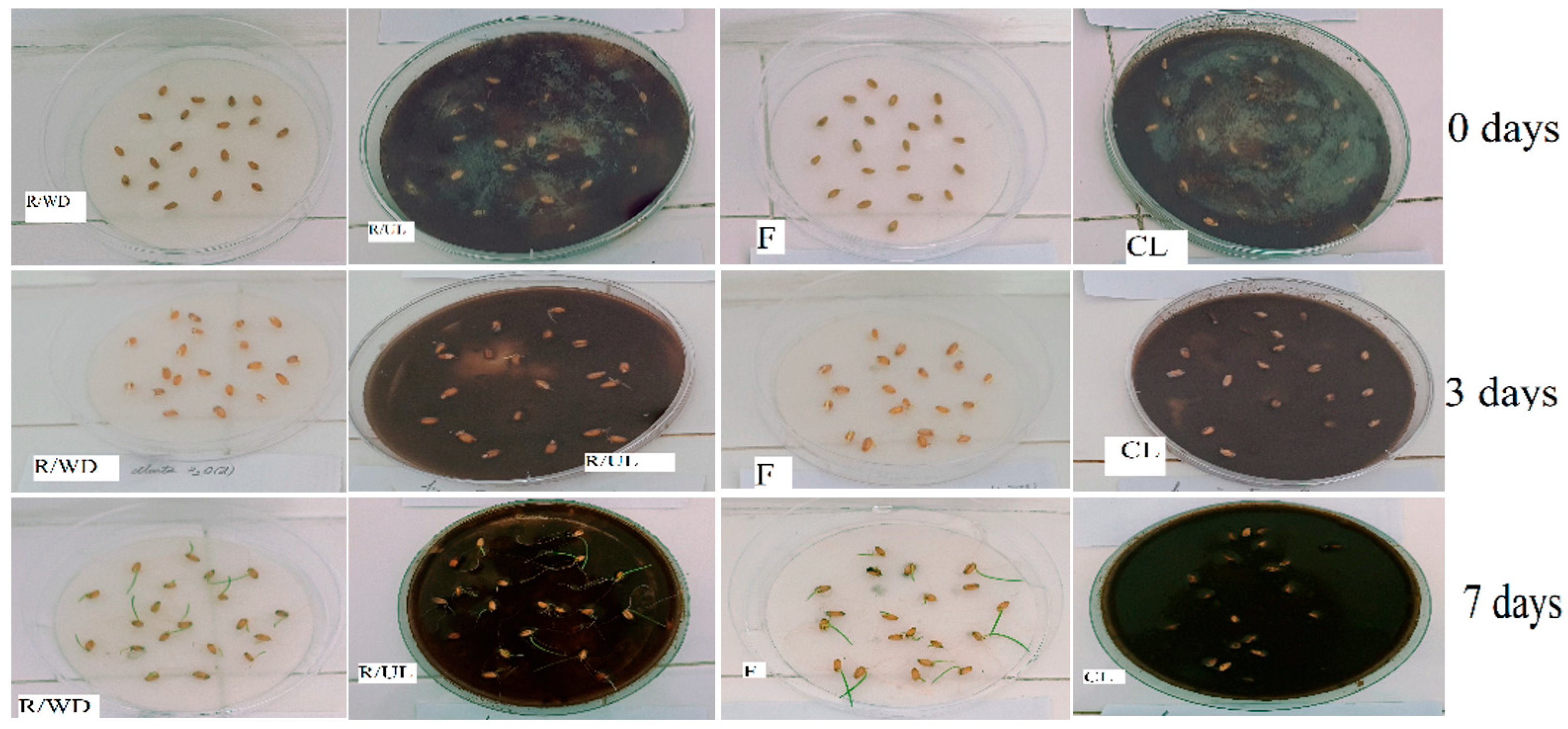 Polymers 17 02263 g005