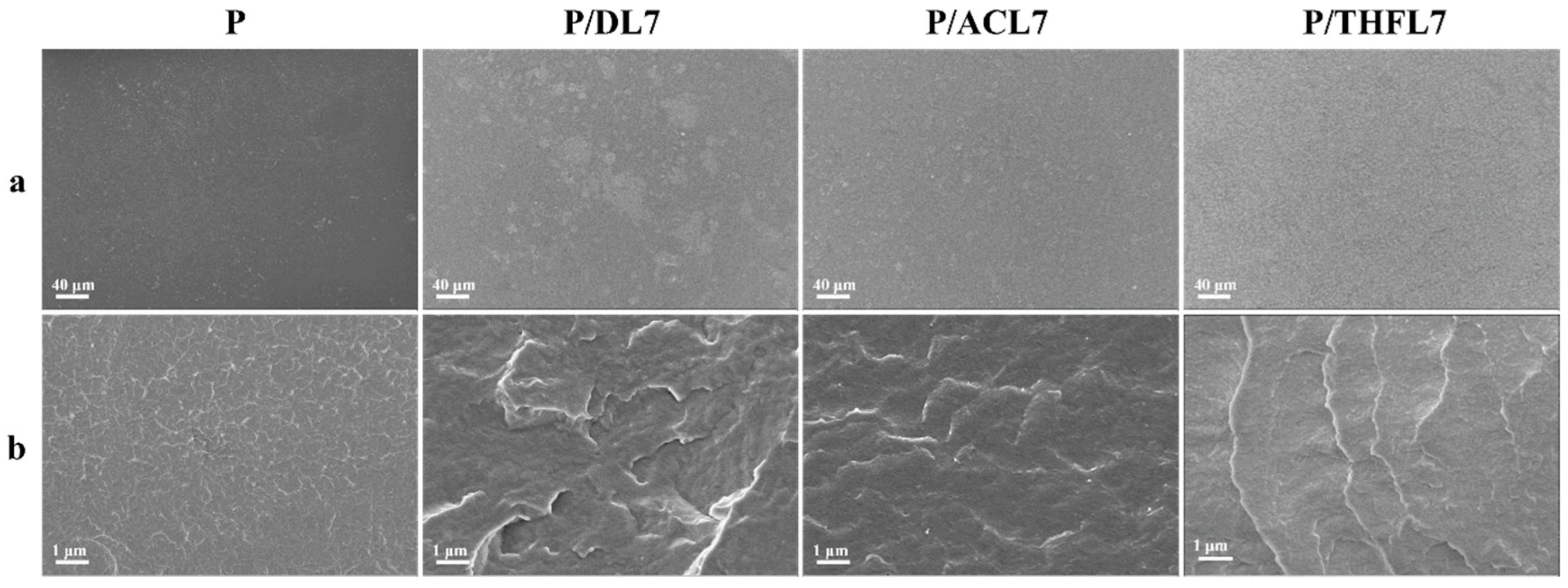 Polymers 17 02270 g008