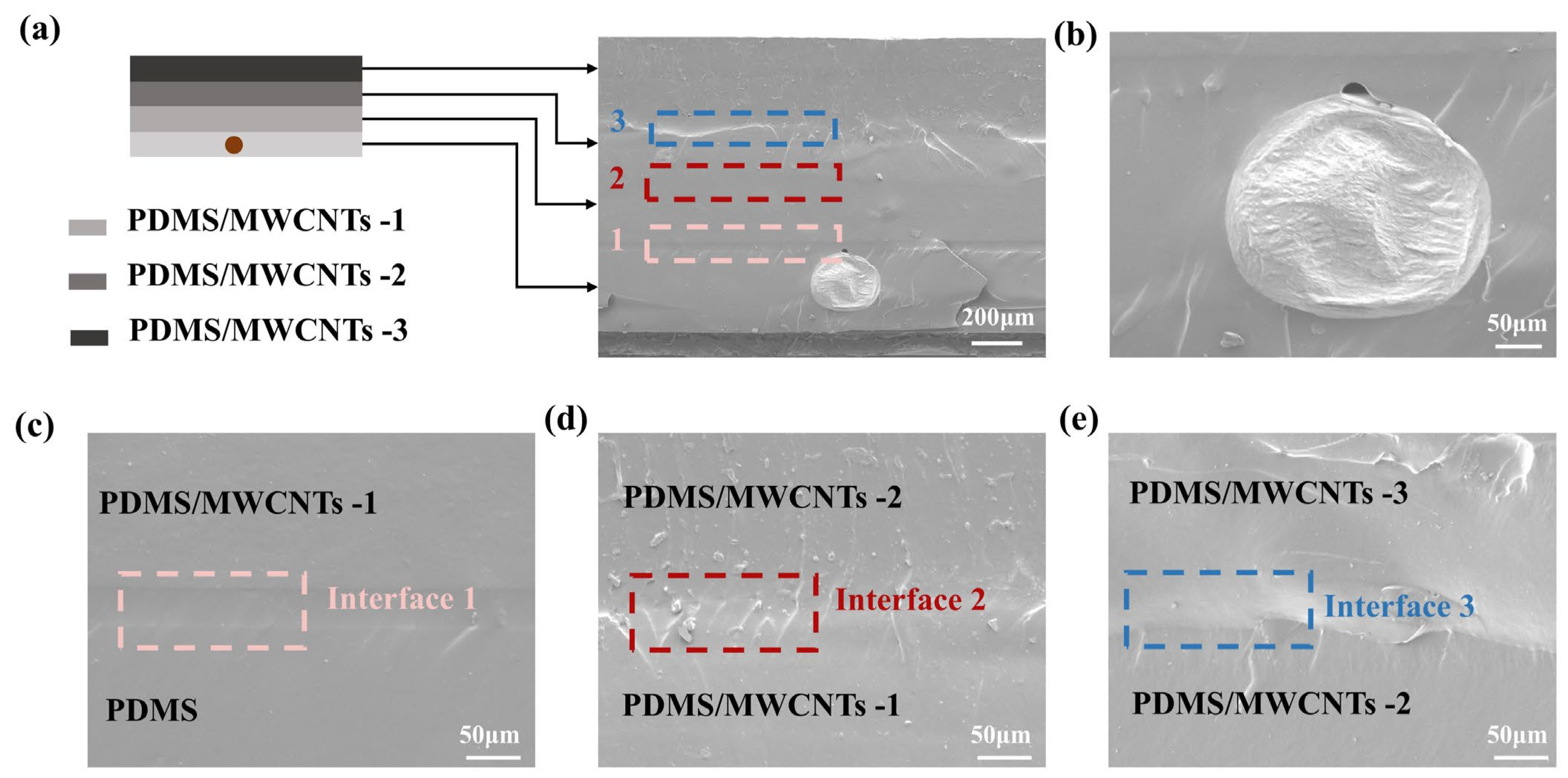 Polymers 17 02288 g002 Polymers 17 02288 g002