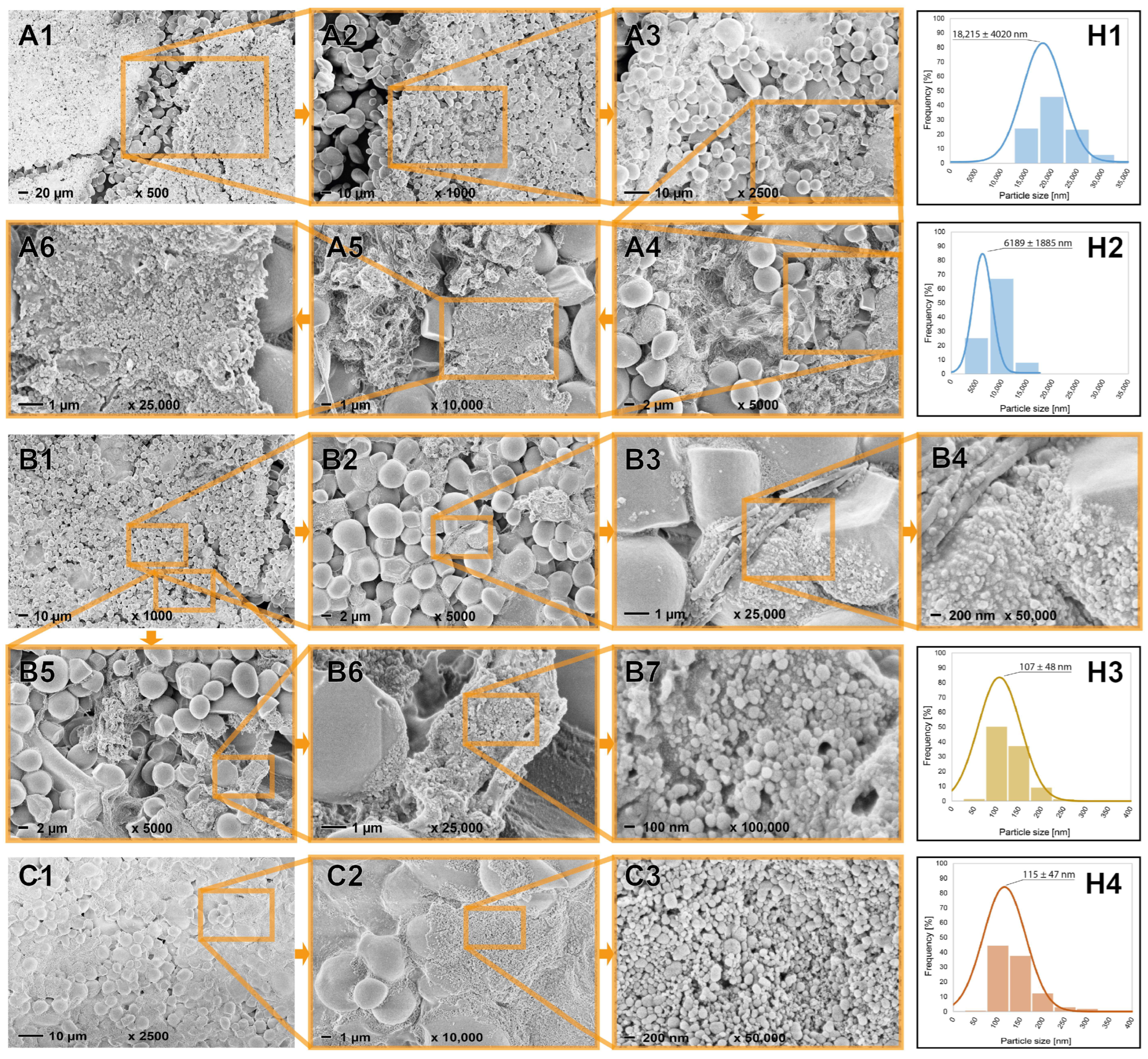 Polymers 17 02308 g002