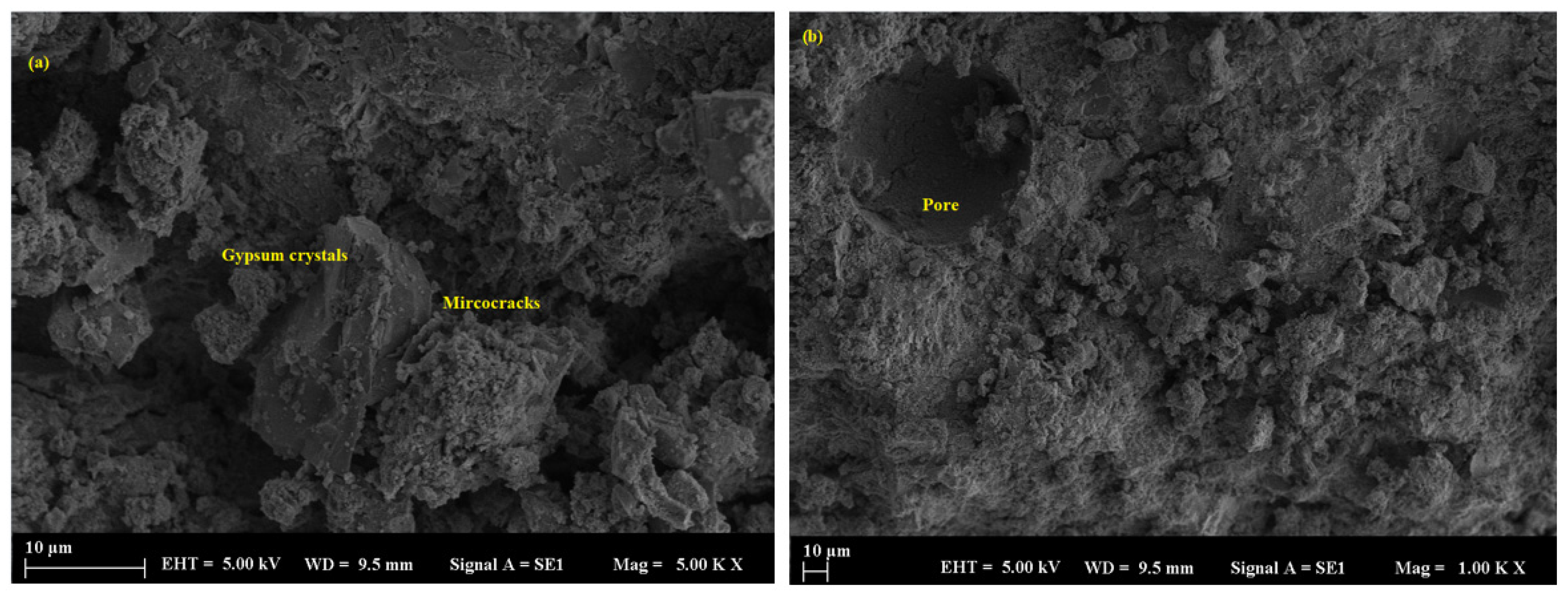 Polymers 17 02310 g014