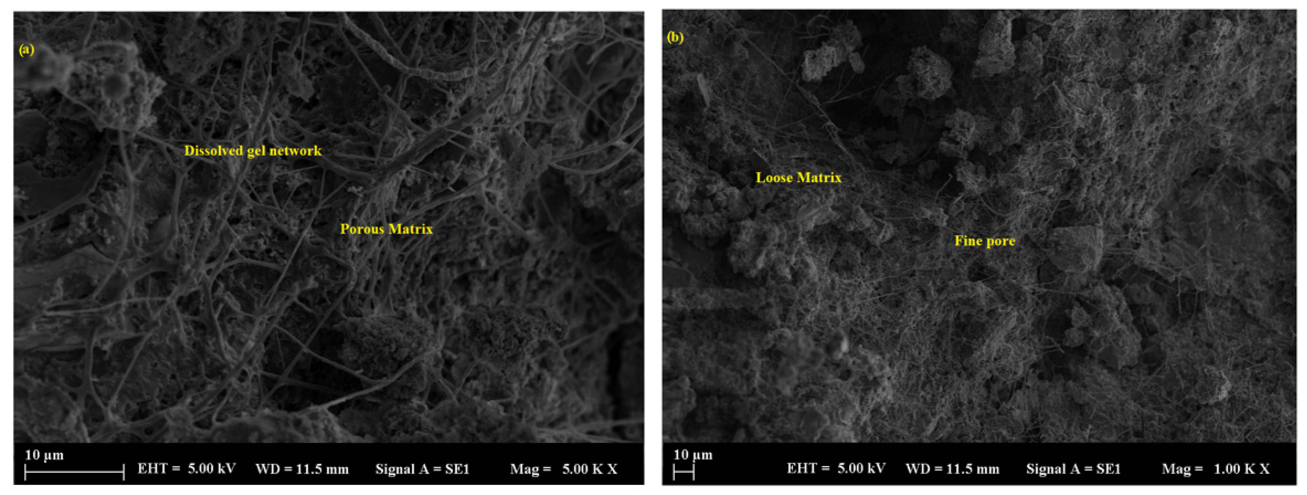 Polymers 17 02310 g016