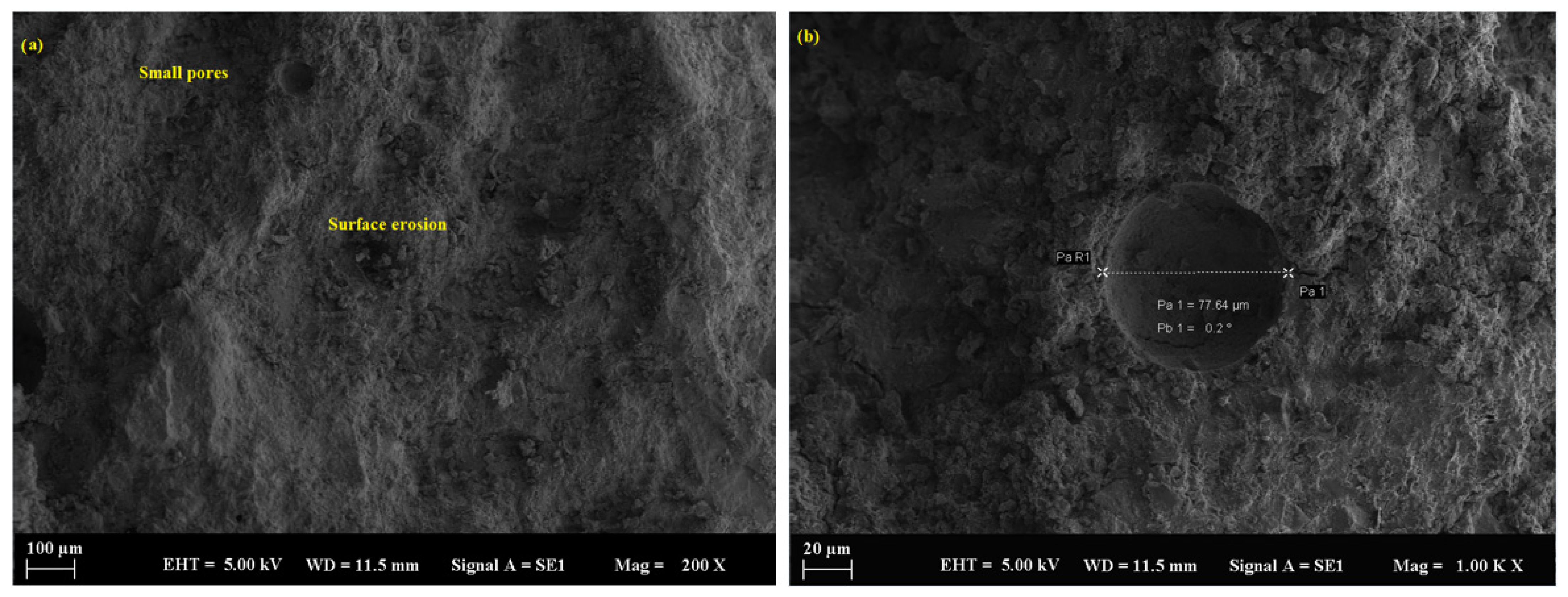 Polymers 17 02310 g017