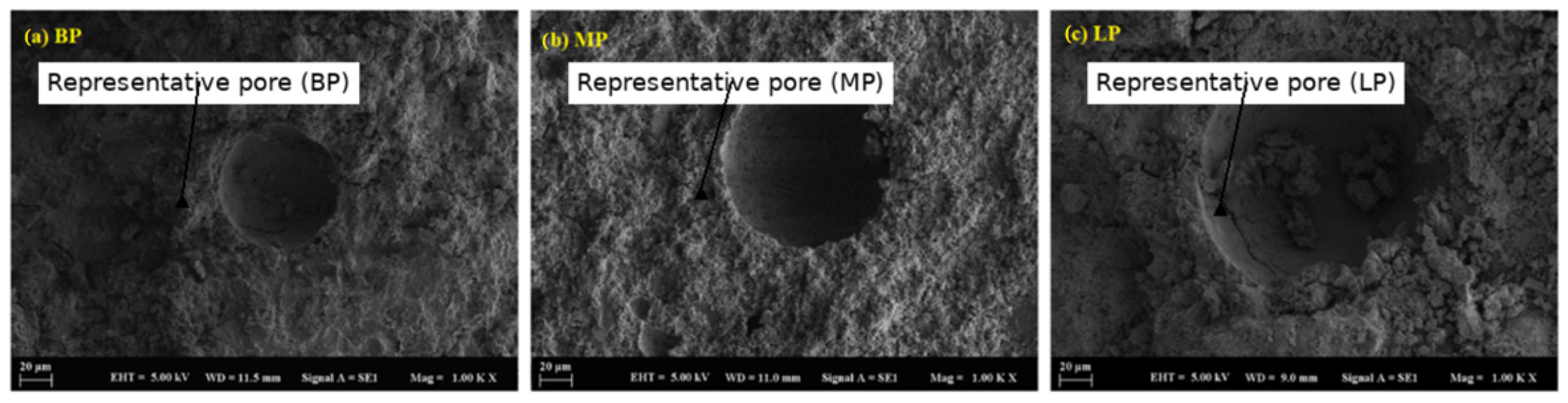 Polymers 17 02310 g018