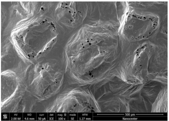 Polymers 17 02311 i017