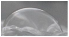Polymers 17 02311 i044