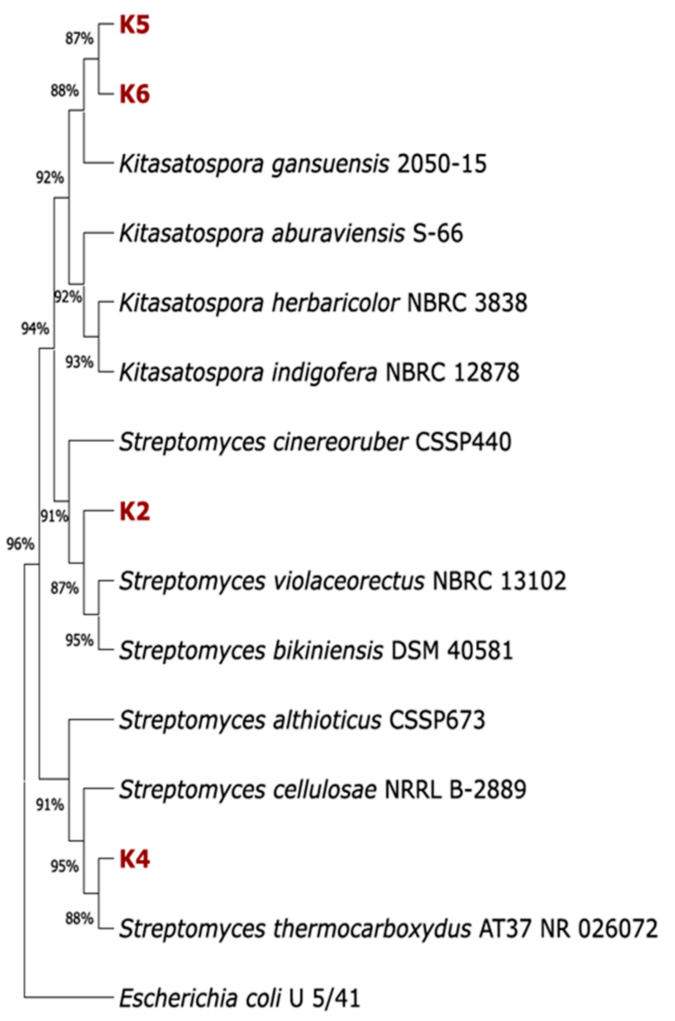 Polymers 17 02318 g001 Polymers 17 02318 g001