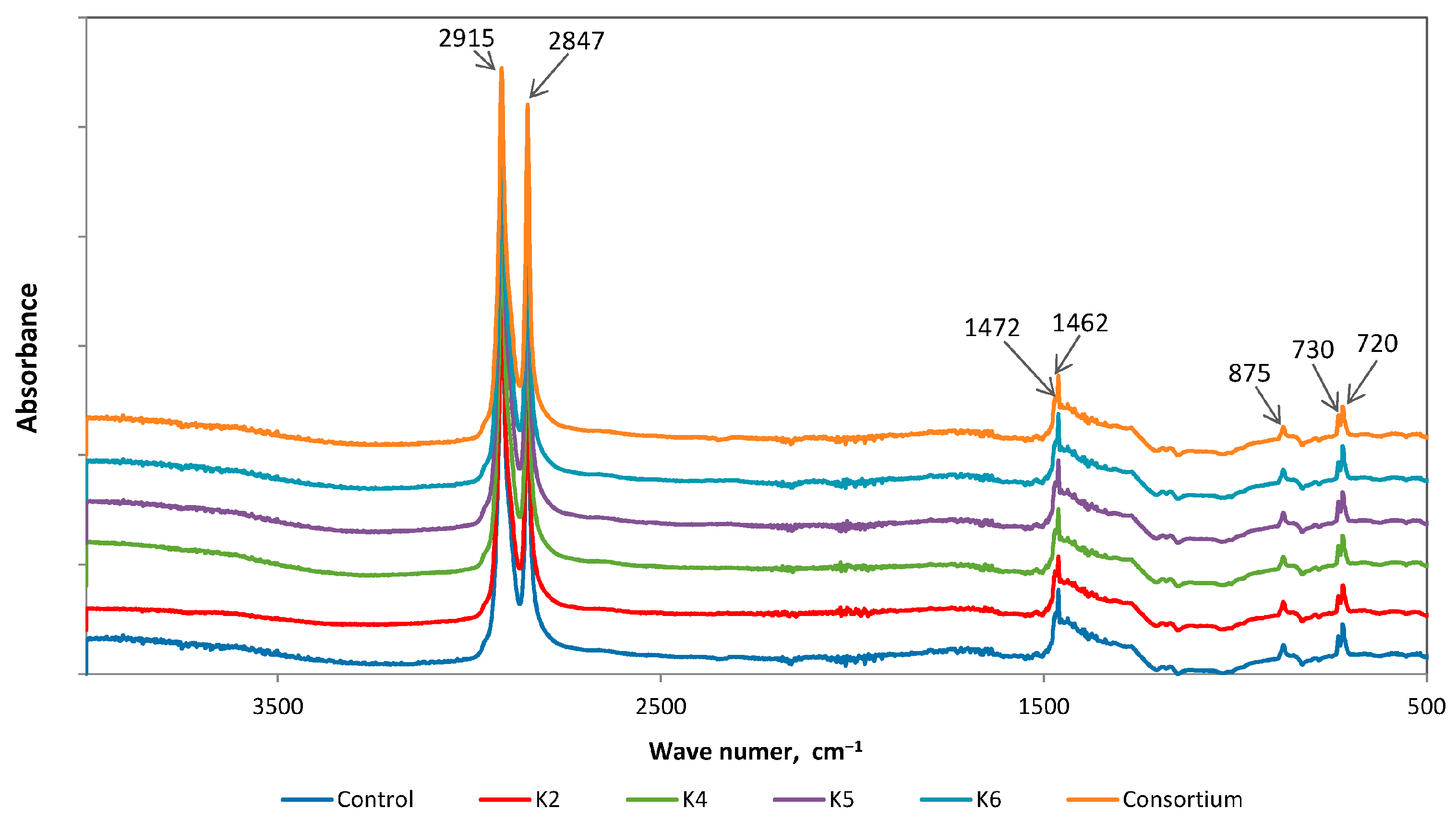 Polymers 17 02318 g002 Polymers 17 02318 g002