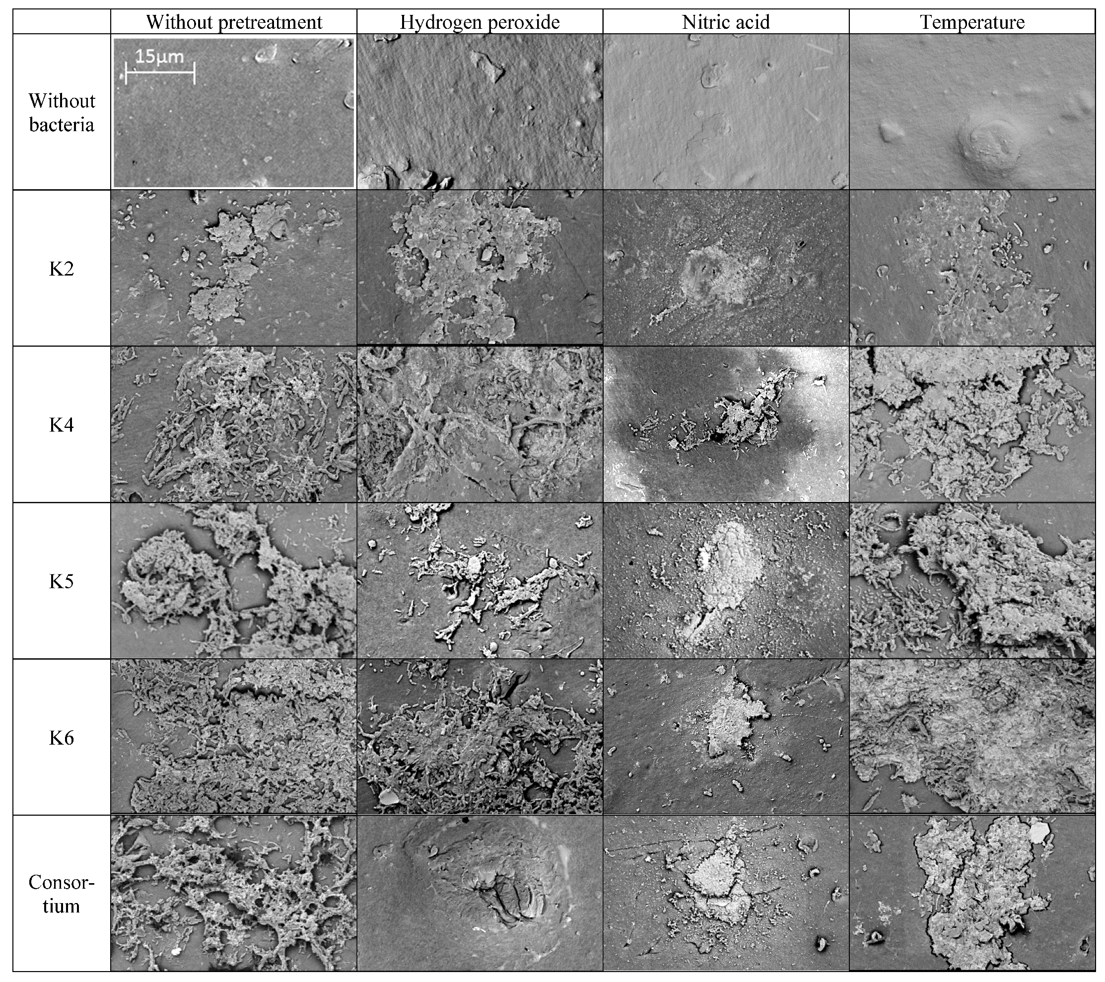 Polymers 17 02318 g006 Polymers 17 02318 g006