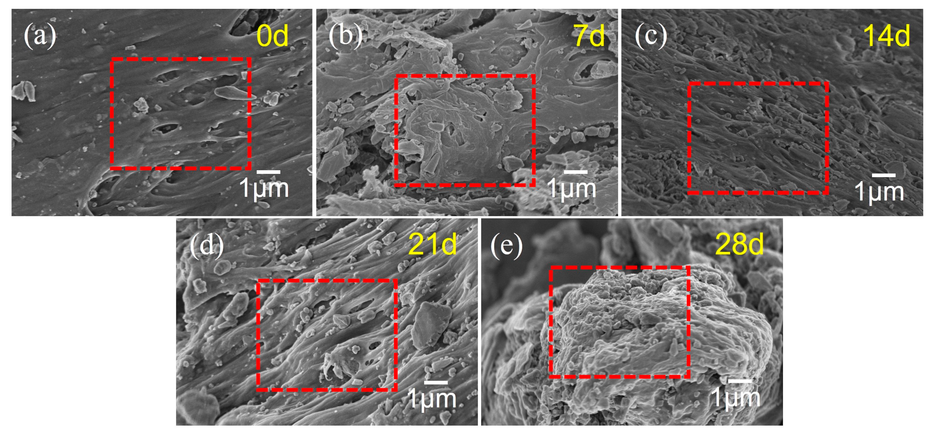 Polymers 17 02320 g012