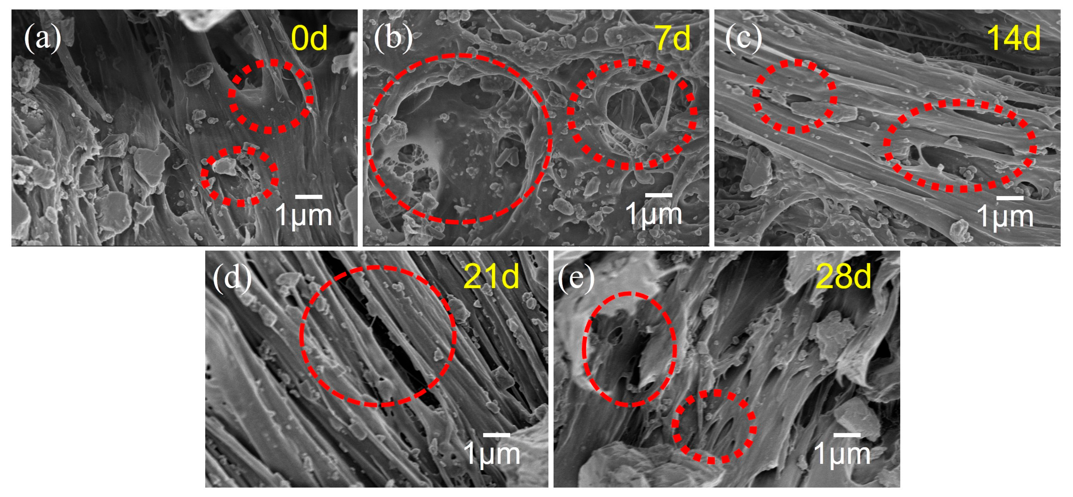 Polymers 17 02320 g013