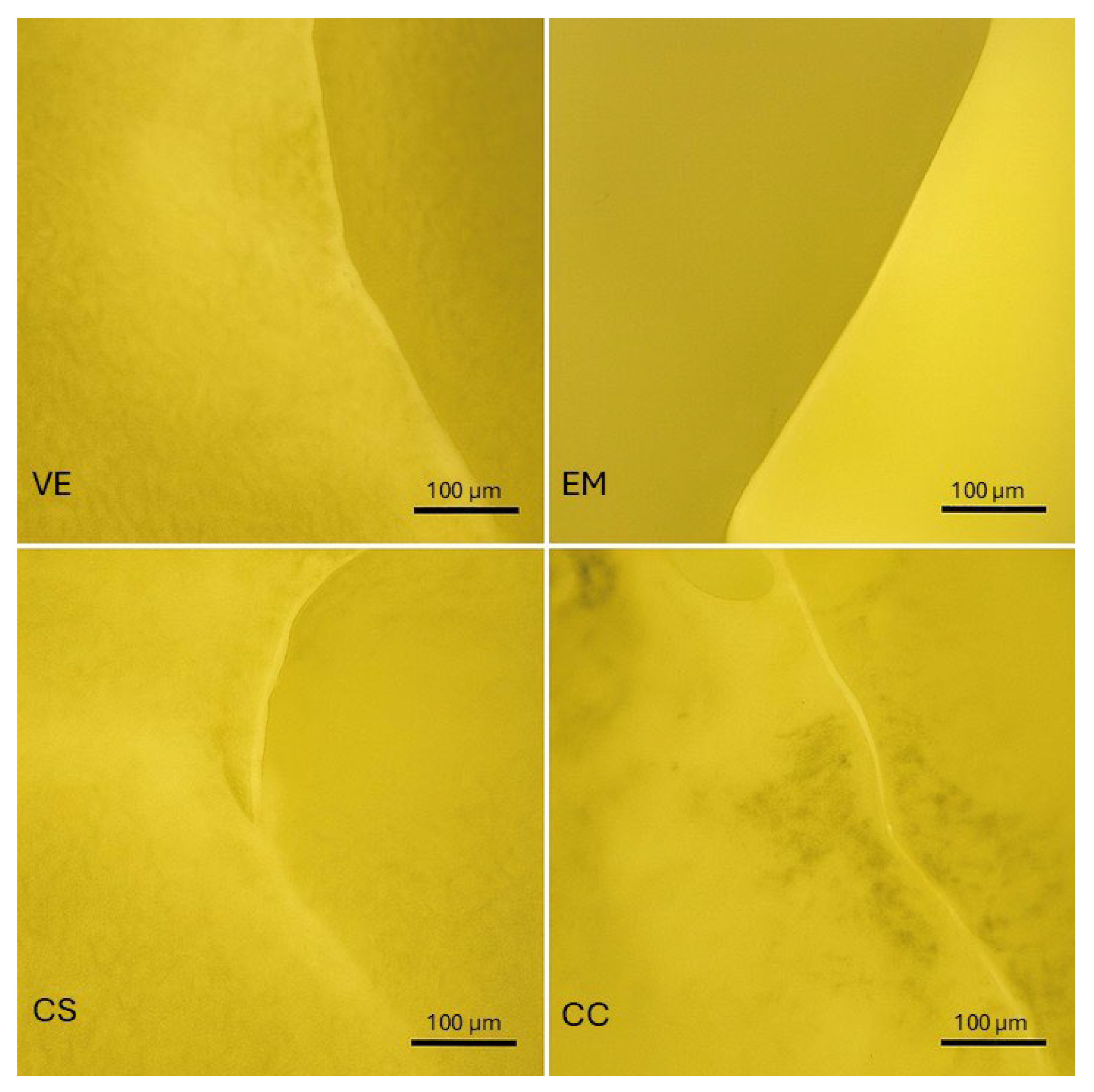 Polymers 17 02322 g003