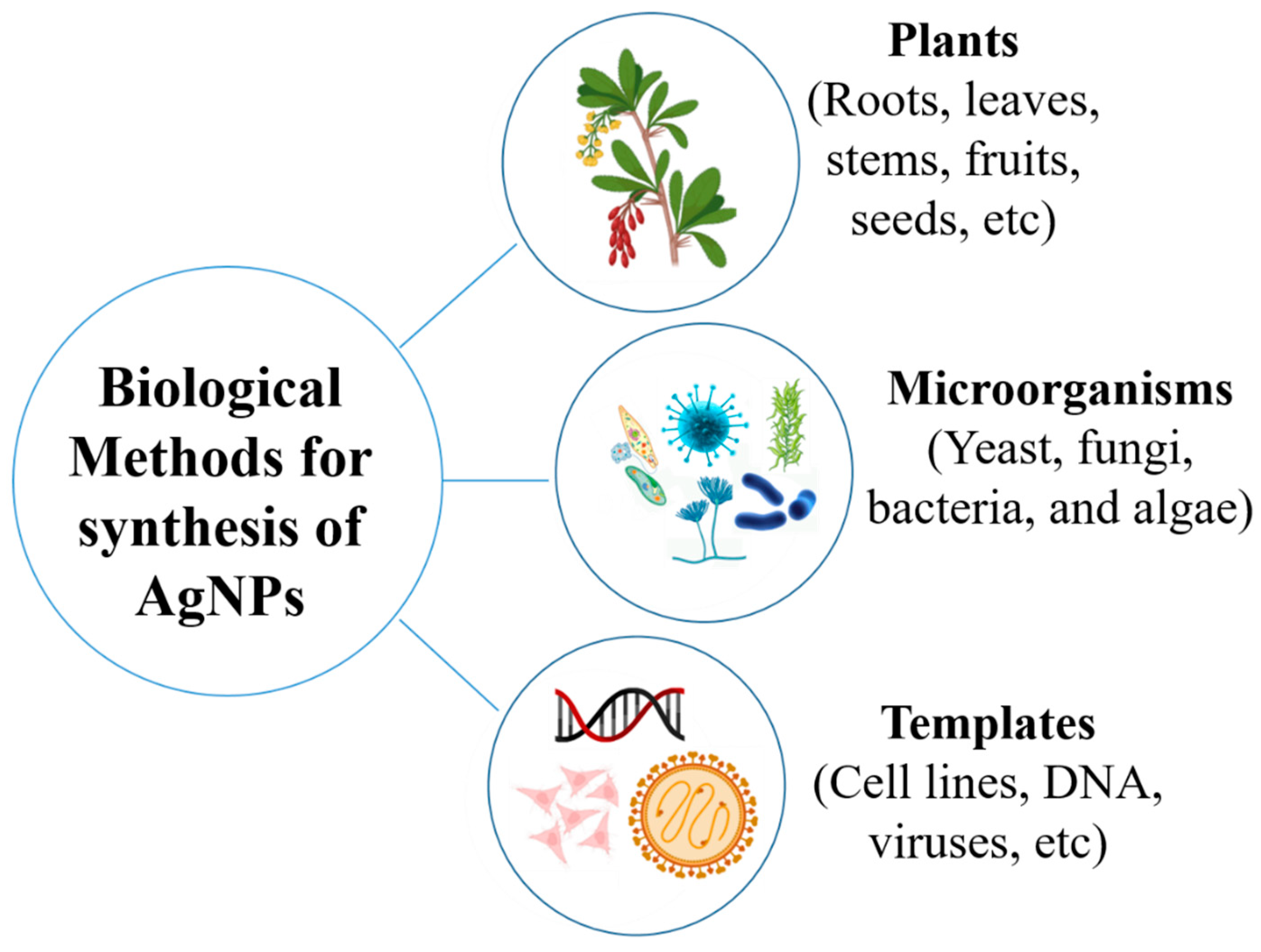 Polymers 17 02327 g002