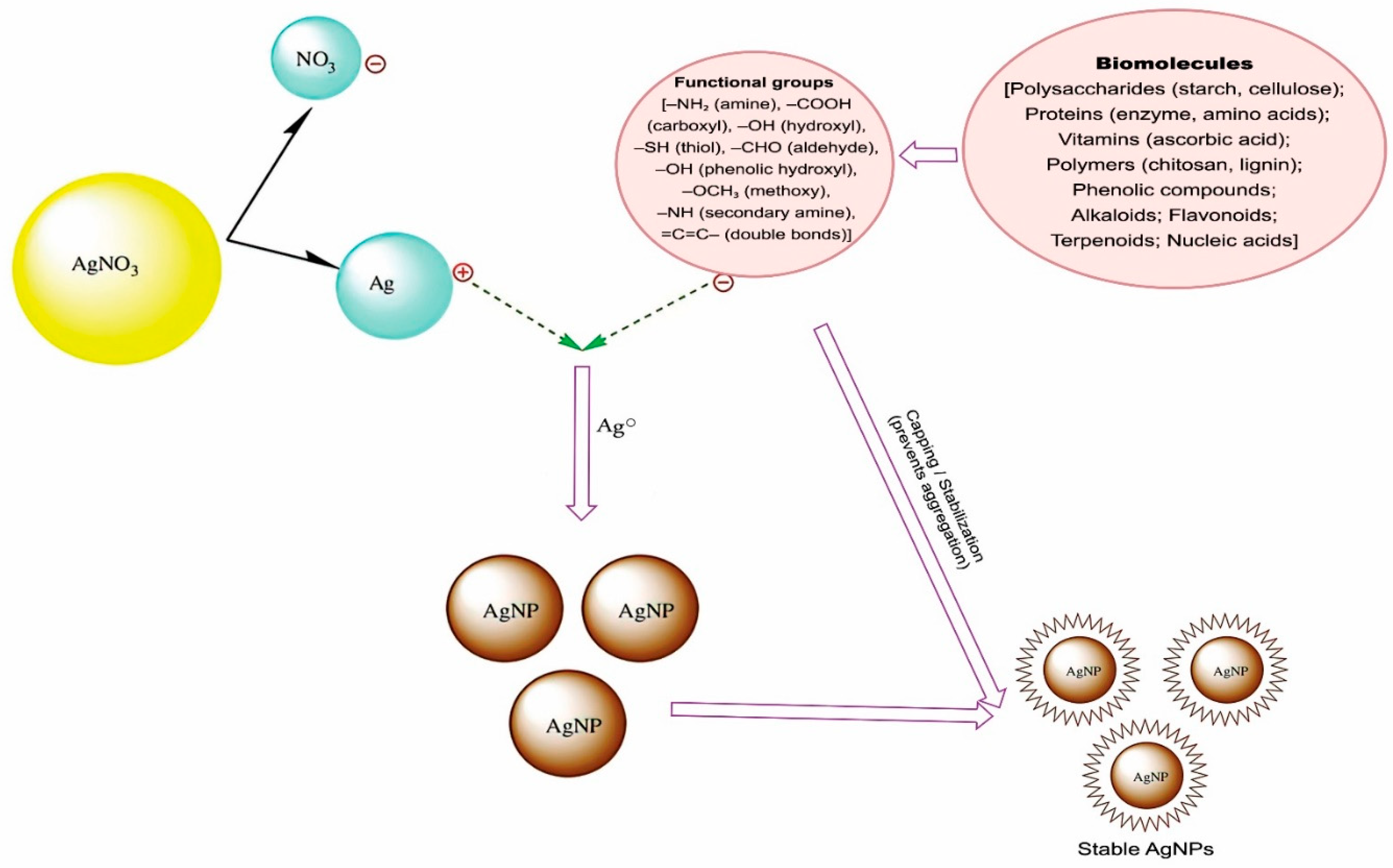 Polymers 17 02327 g003