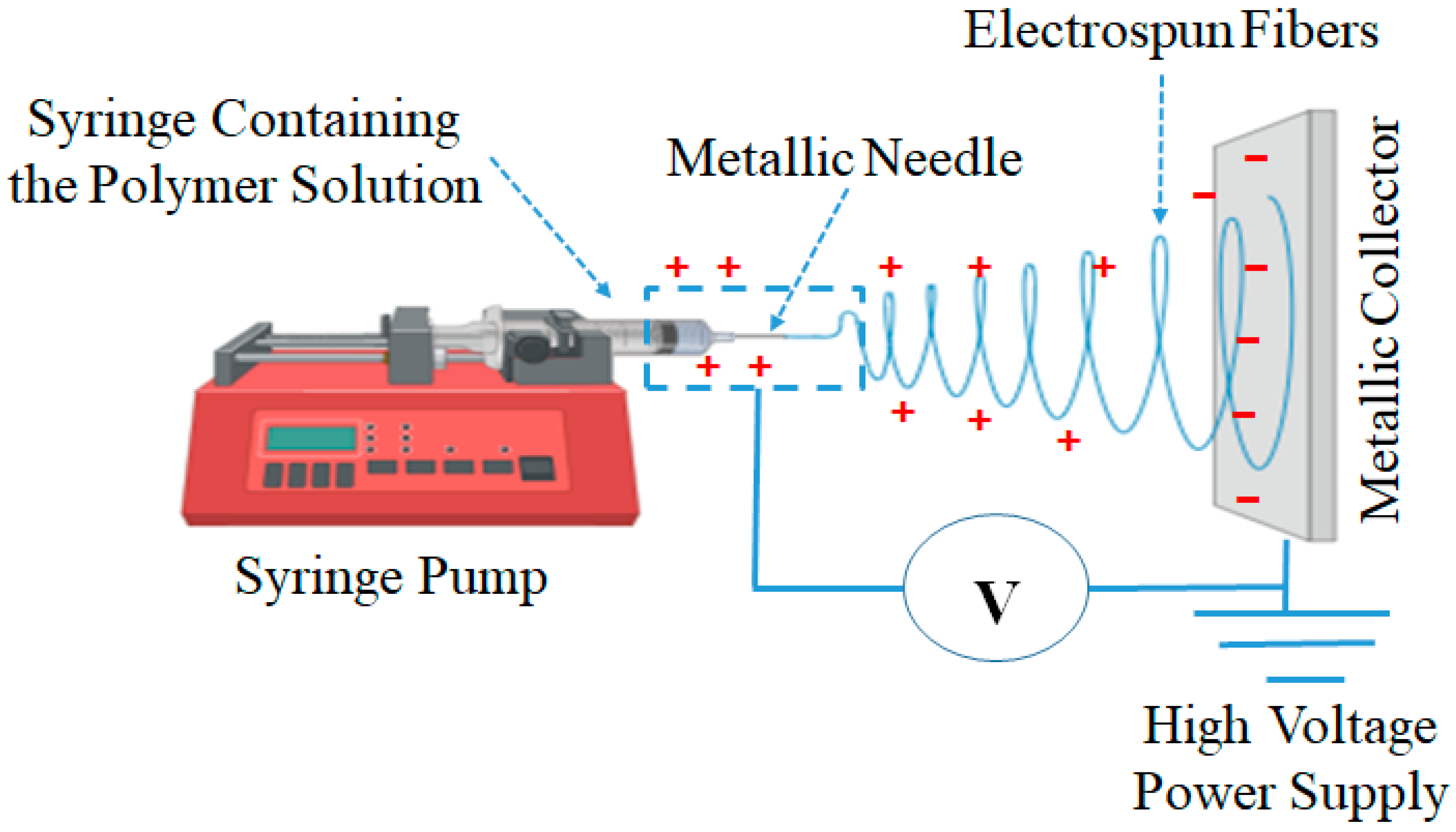 Polymers 17 02327 g007