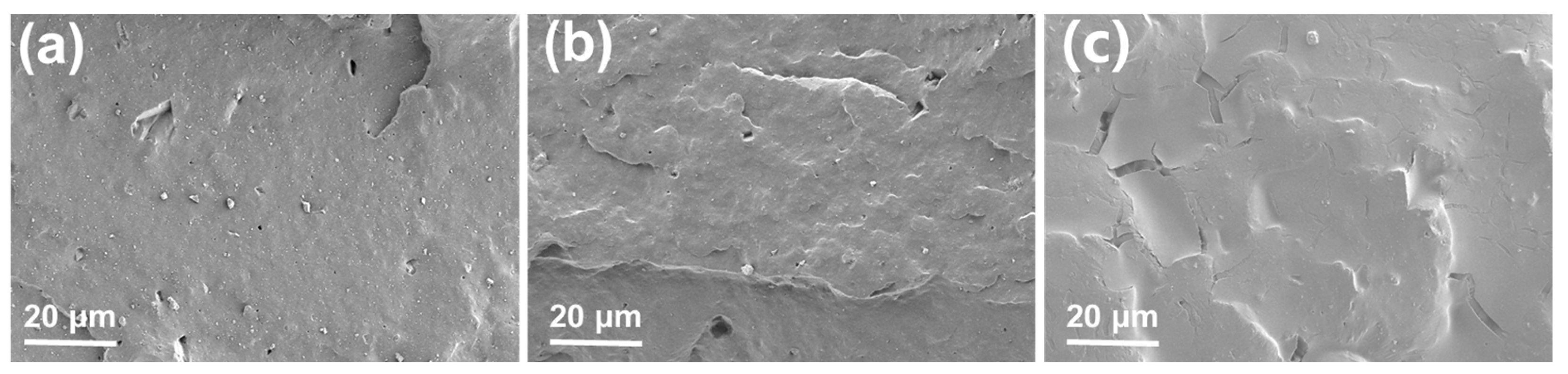 Polymers 17 02332 g004