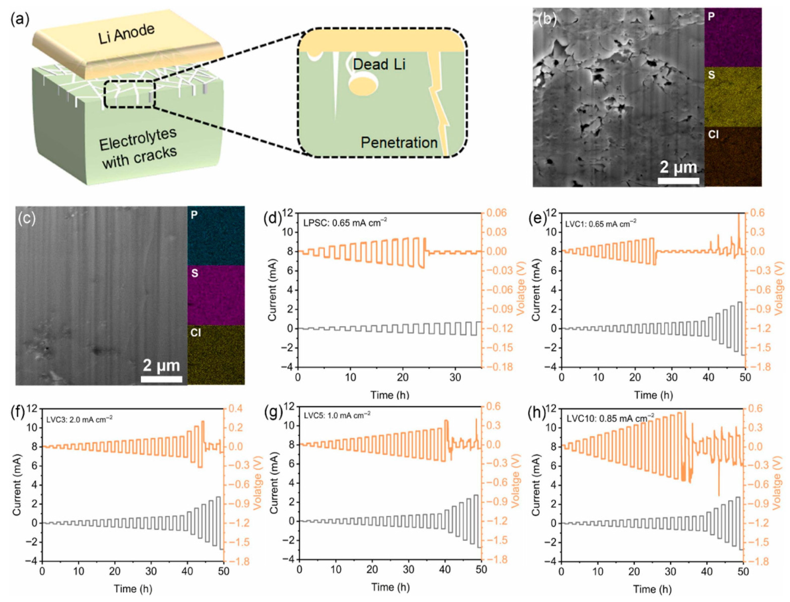 Polymers 17 02340 g023 Polymers 17 02340 g023