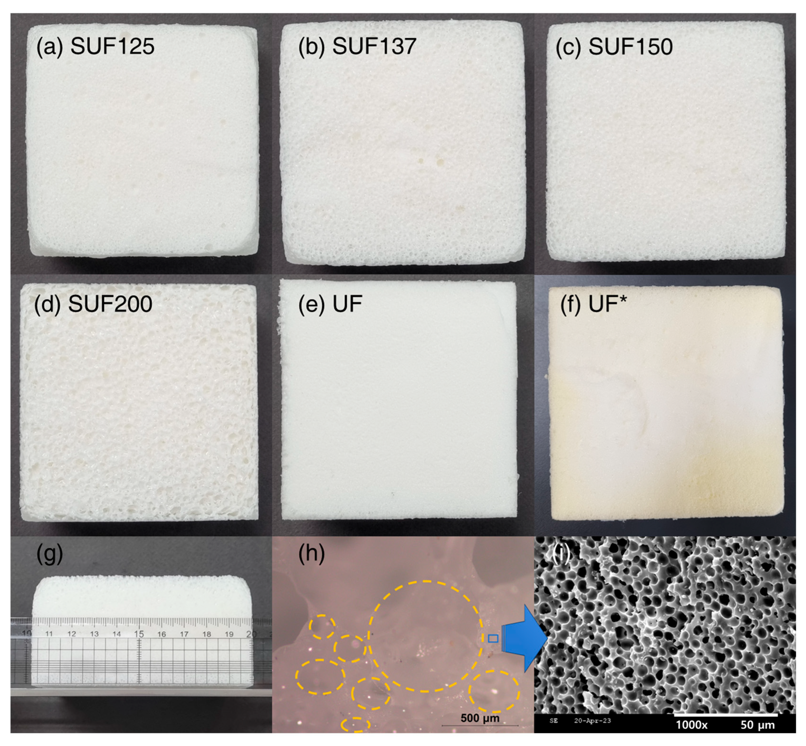 Polymers 17 02352 g003