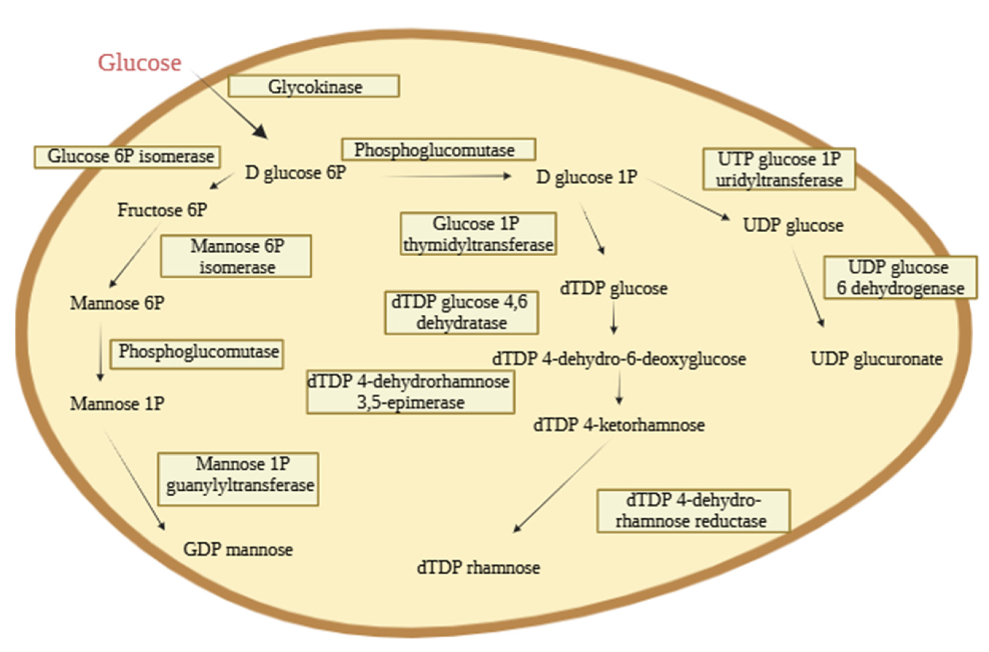 Polymers 17 02362 g006 Polymers 17 02362 g006