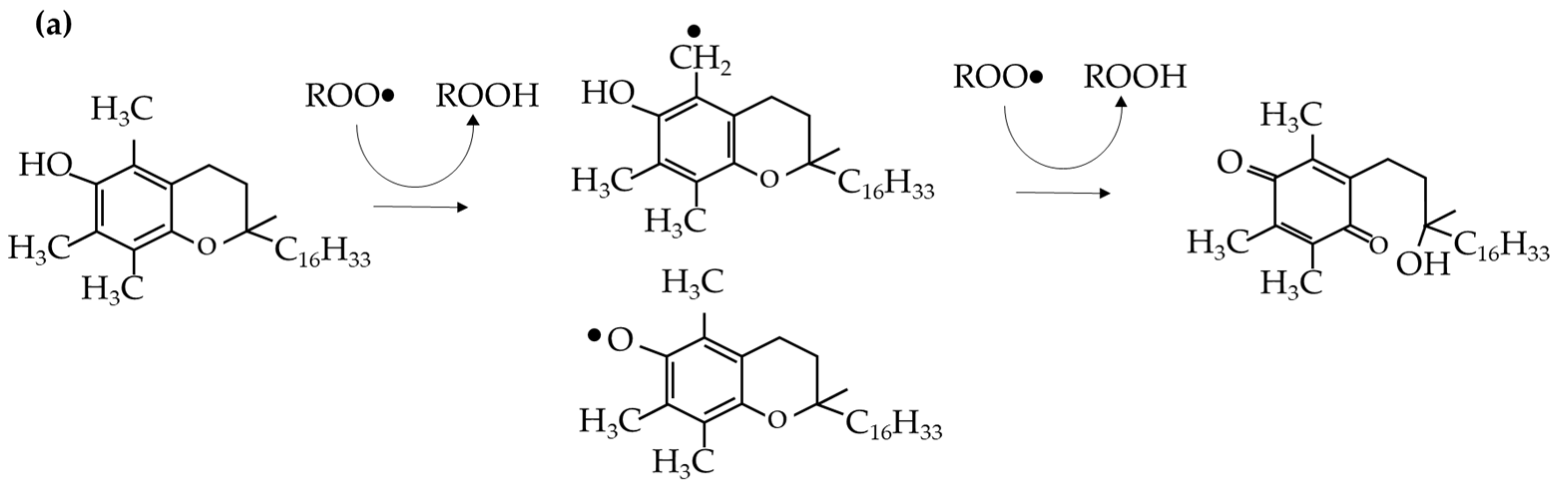 Polymers 17 02364 g005a Polymers 17 02364 g005a