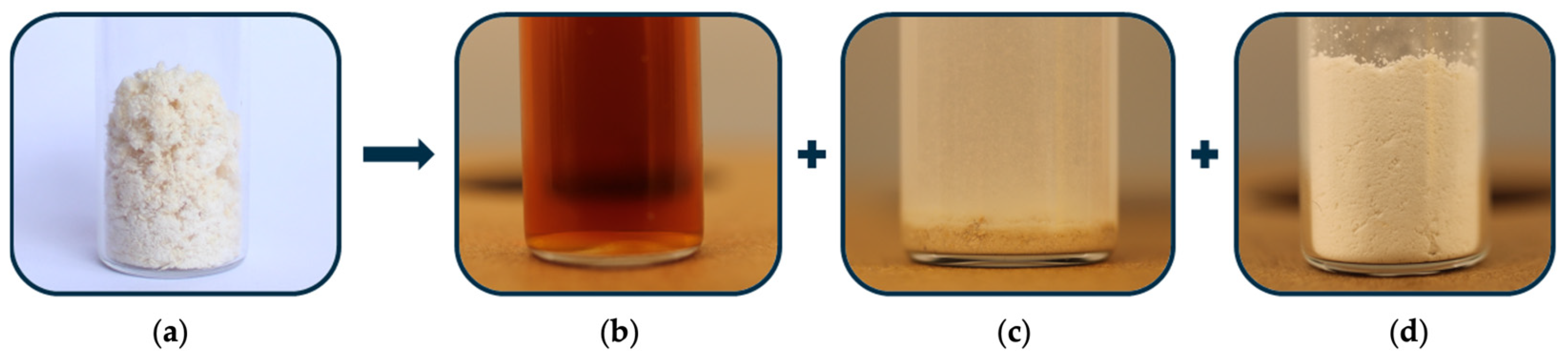 Polymers 17 02366 g001