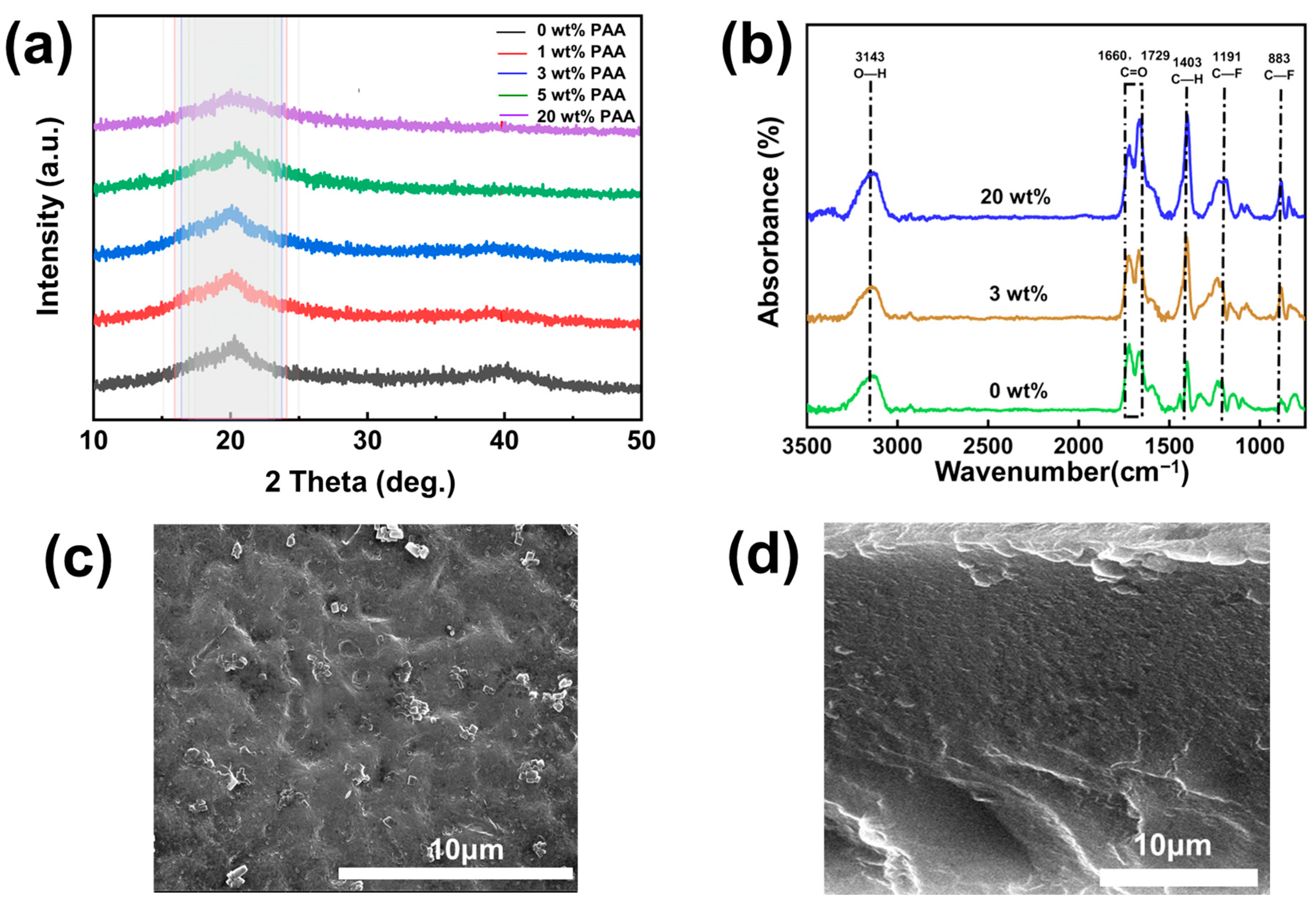 Polymers 17 02369 g002