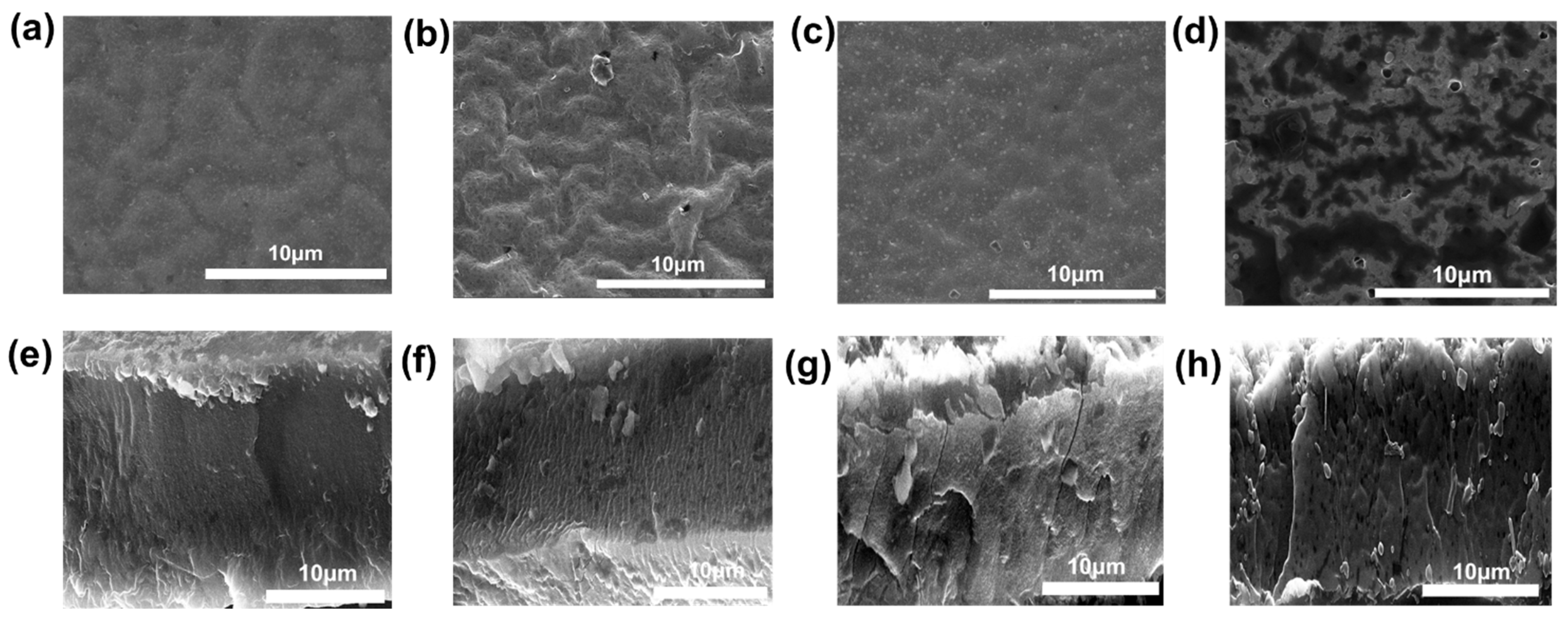 Polymers 17 02369 g004